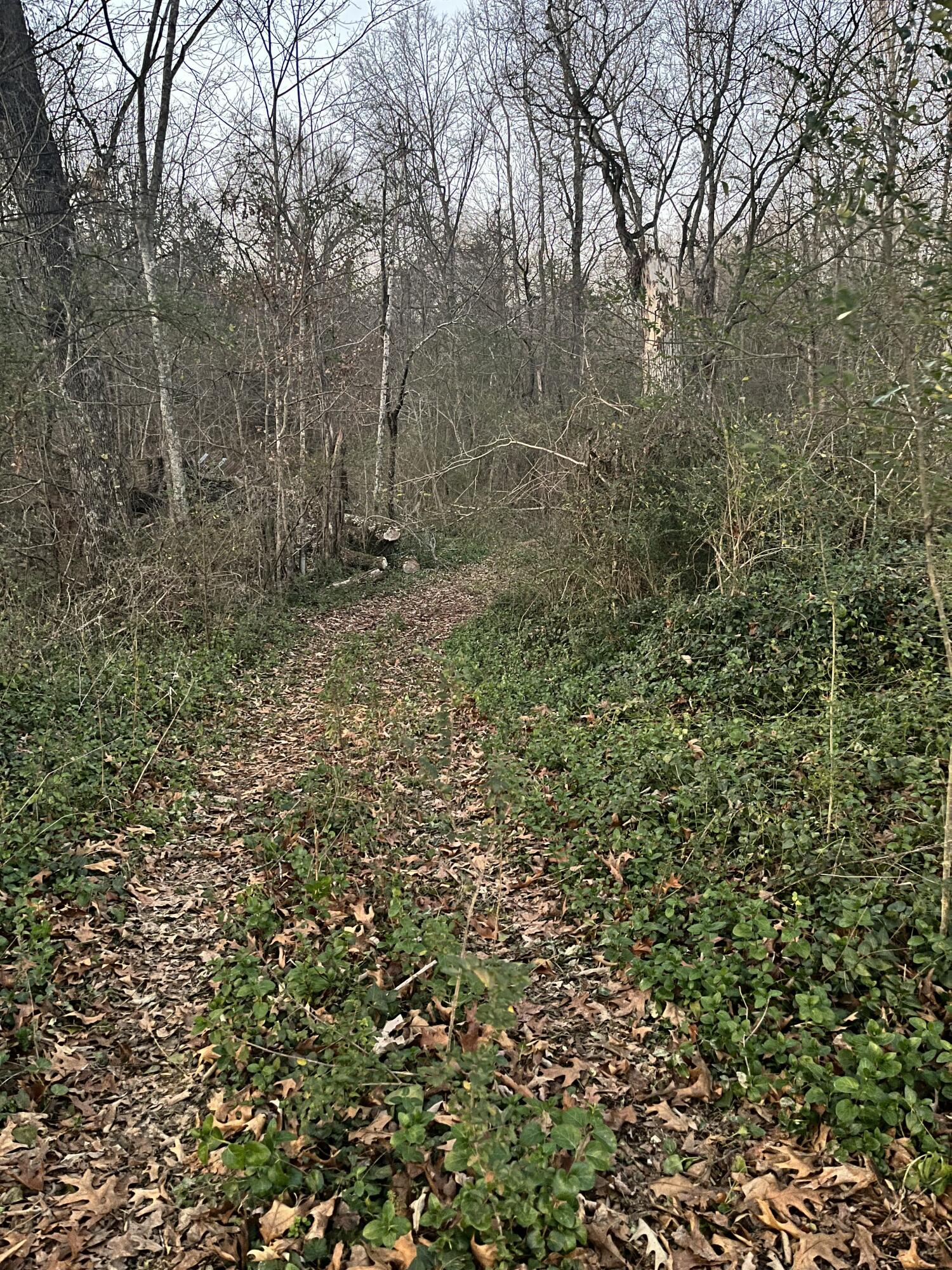 5411 Old Hixson Pike