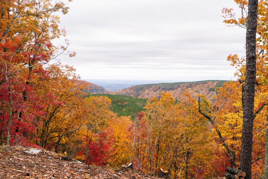 0 Worley Road, Lot 40