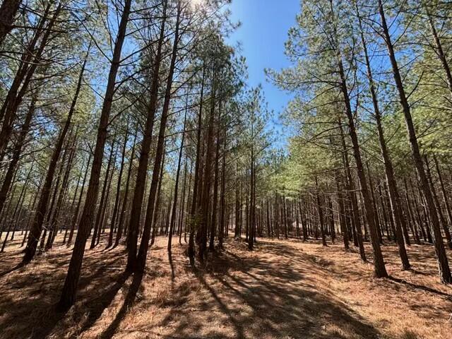 0 Worley Road, Lot 40