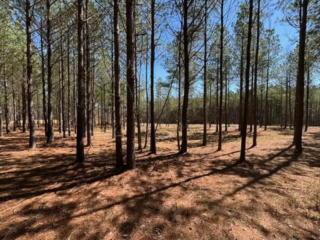 0 Worley Road, Lot 40