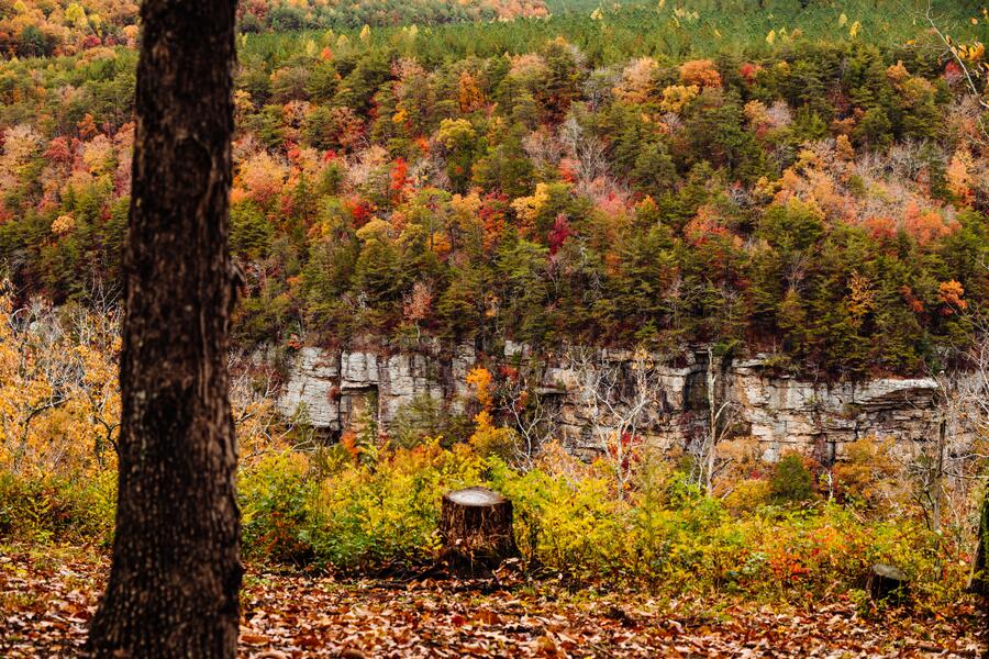 0 Worley Road, Lot 40