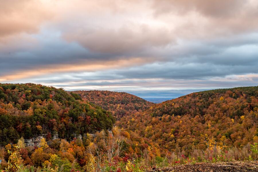 0 Worley Road, Lot 40