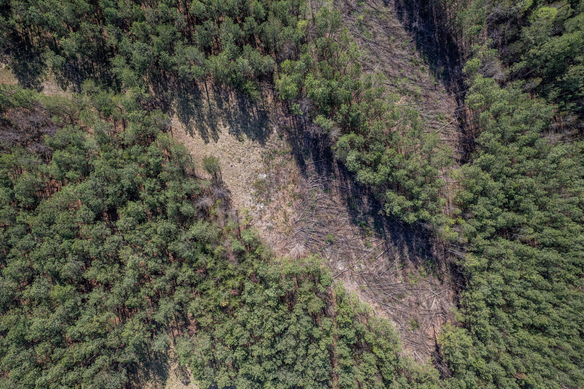 0 Worley Road, Lot 4