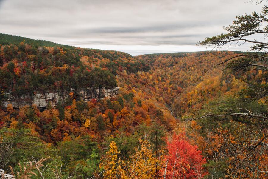 0 Worley Road, Lot 4