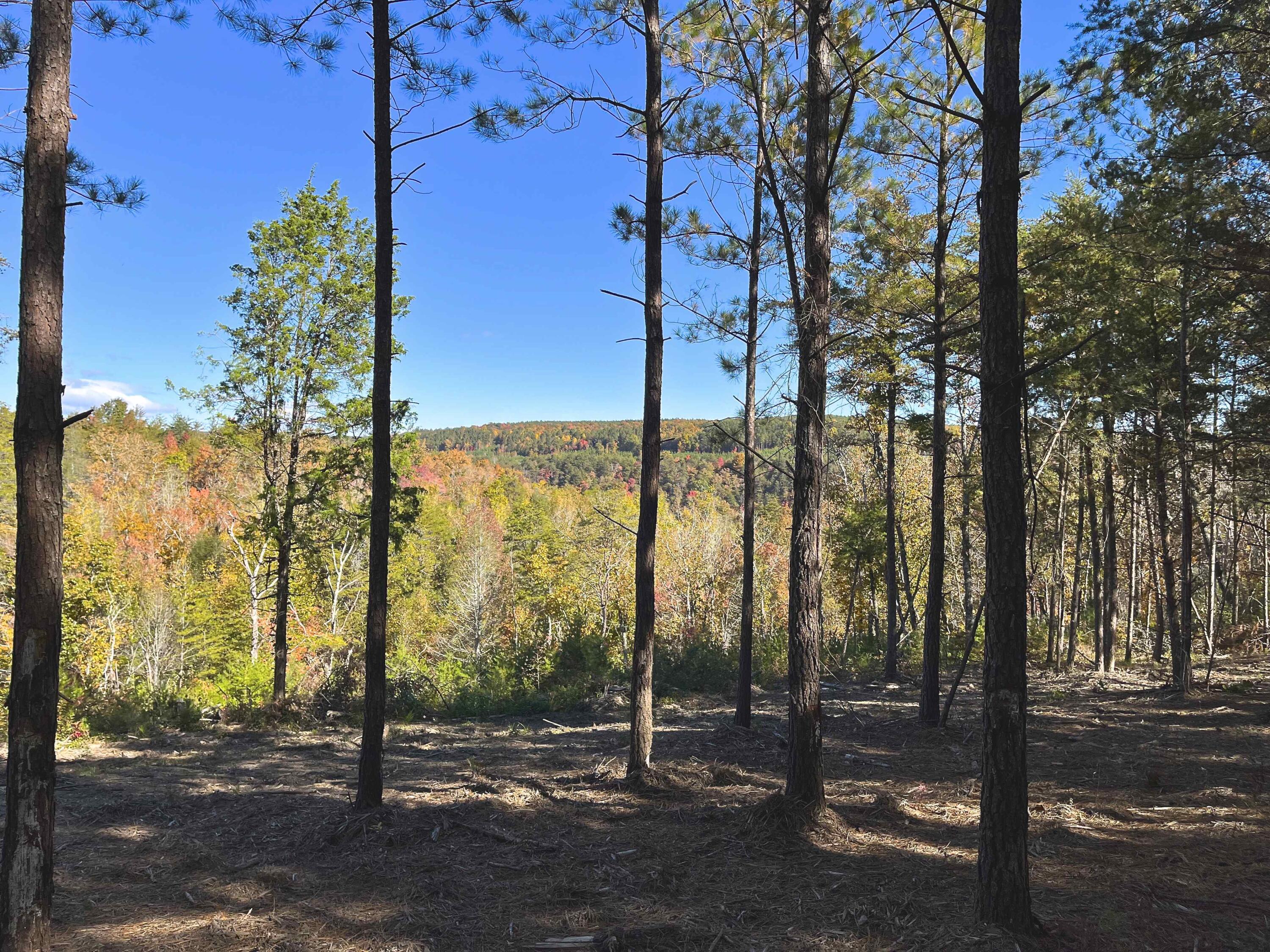 0 Worley Road, Lot #7