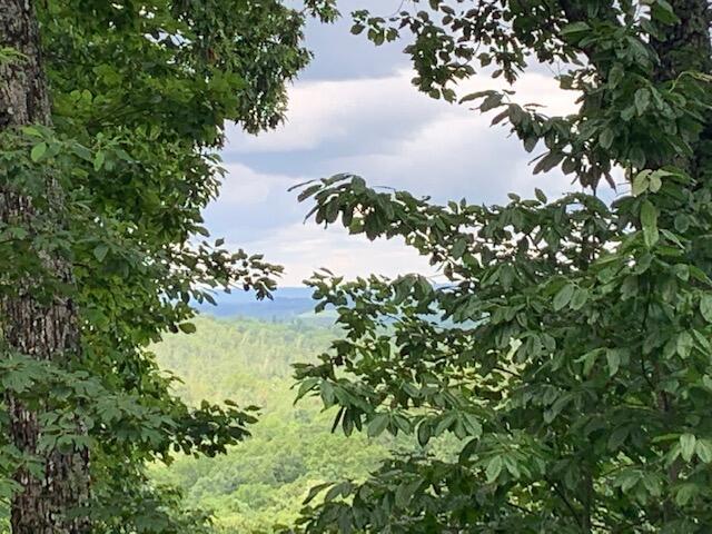 Lots 38a+B Gray Rock Vw