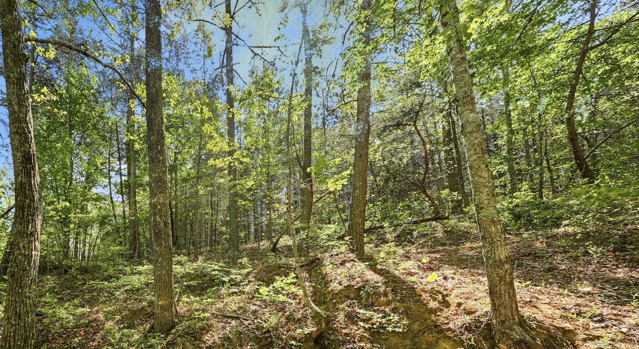 0 Worley Road, Lot 43