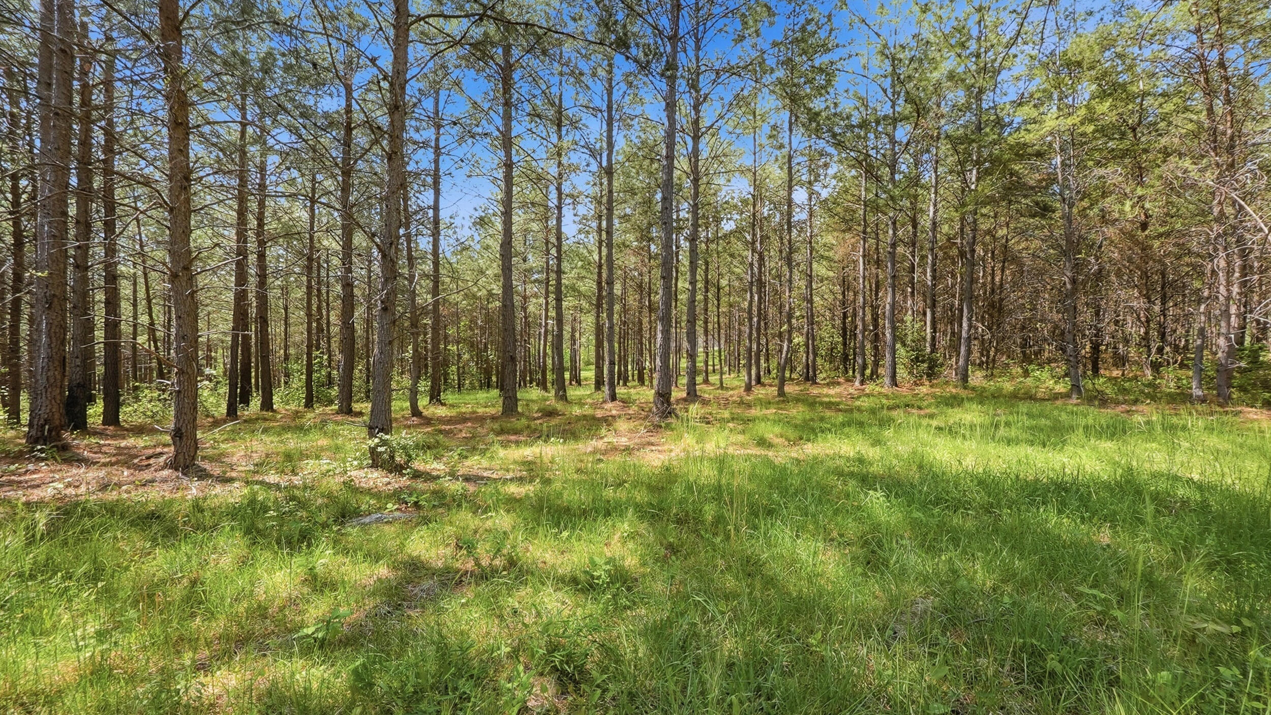 0 Worley Road, Lot 43