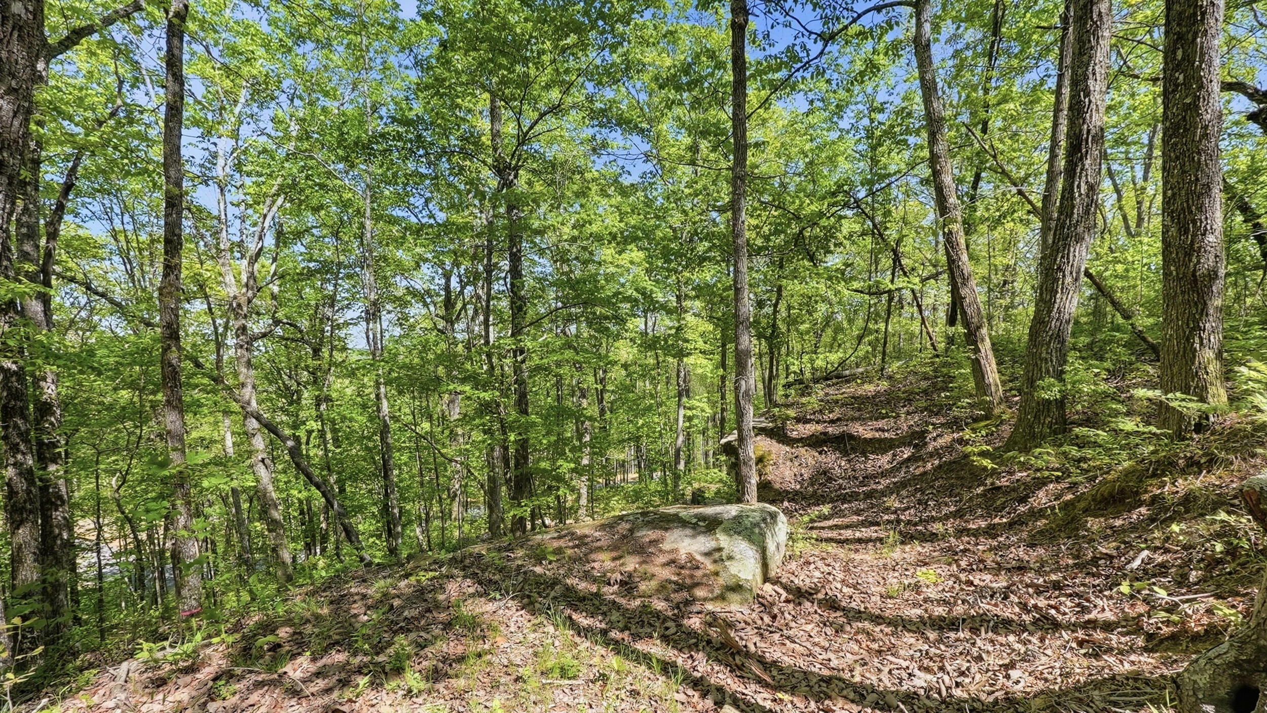 0 Worley Road, Lot 43