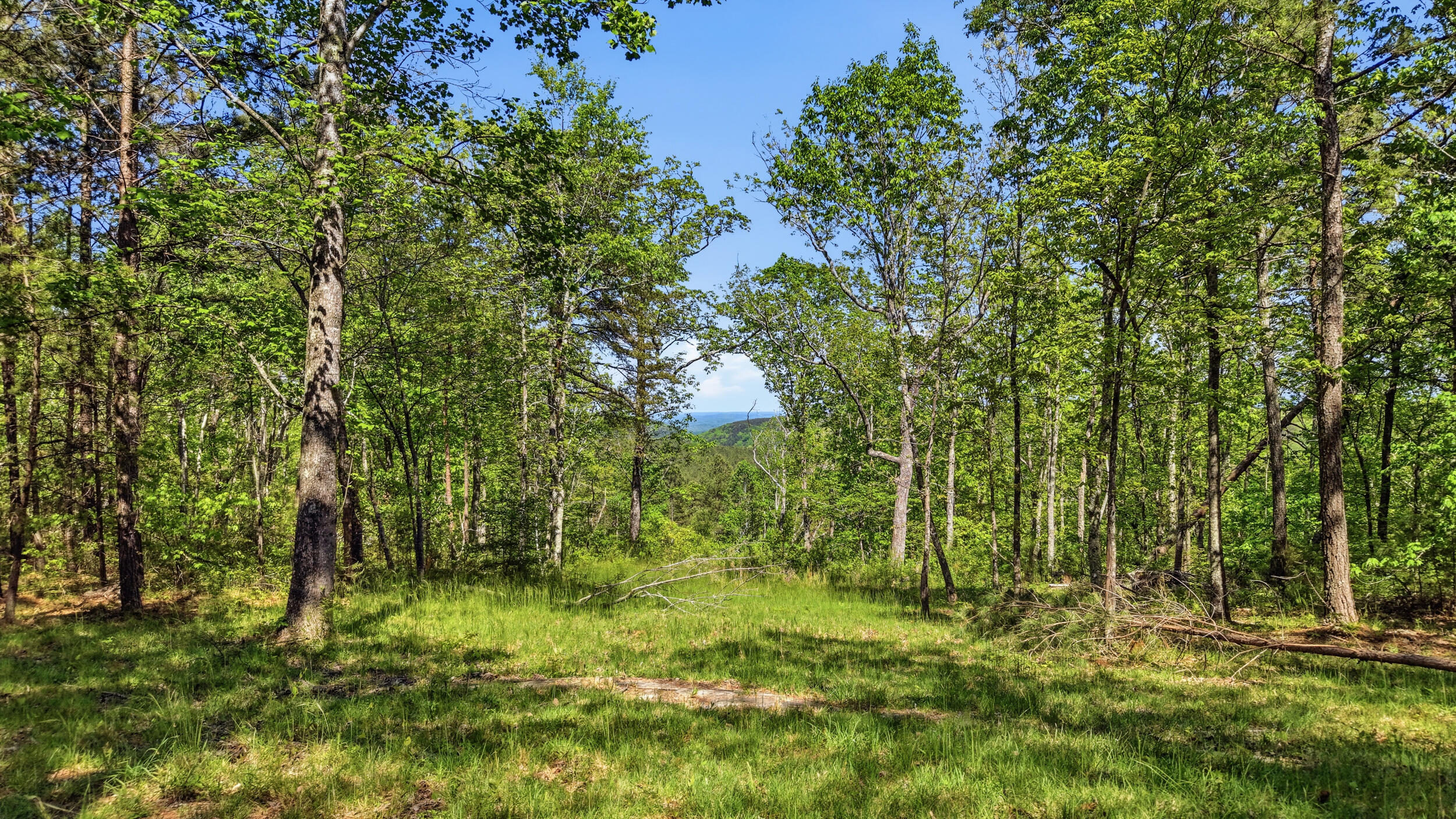 0 Worley Road, Lot 43