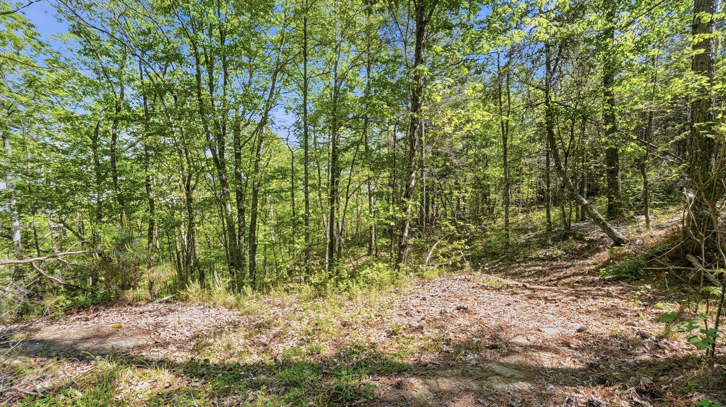 0 Worley Road, Lot 43