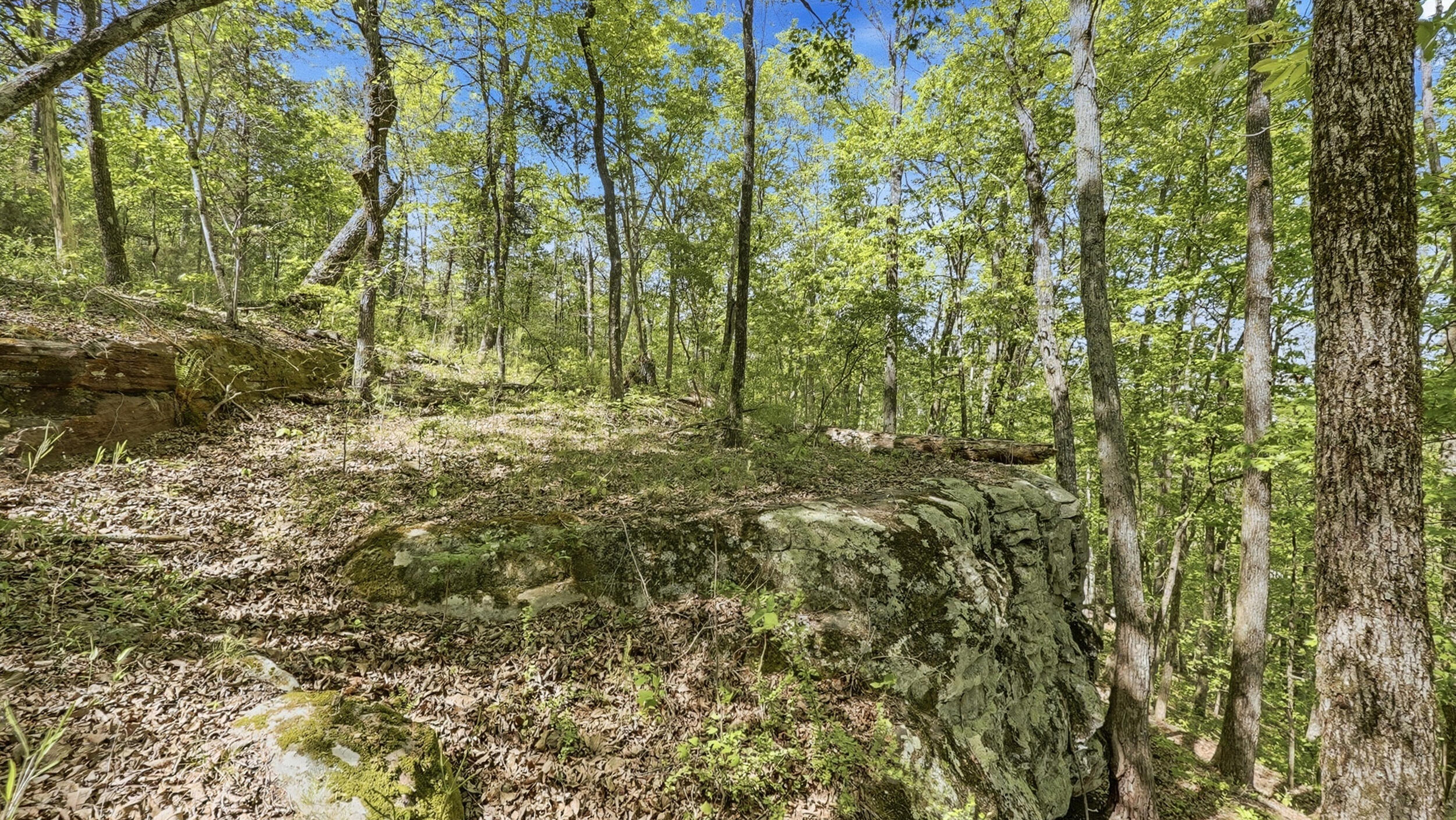 0 Worley Road, Lot 43