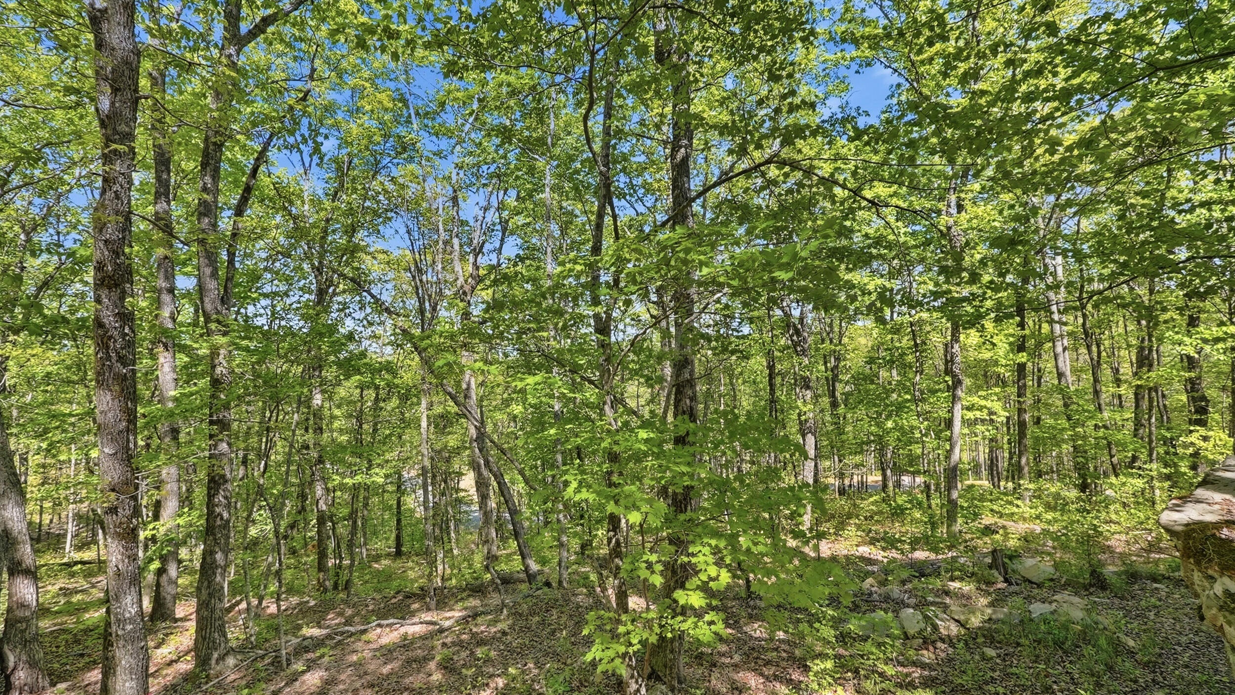 0 Worley Road, Lot 43