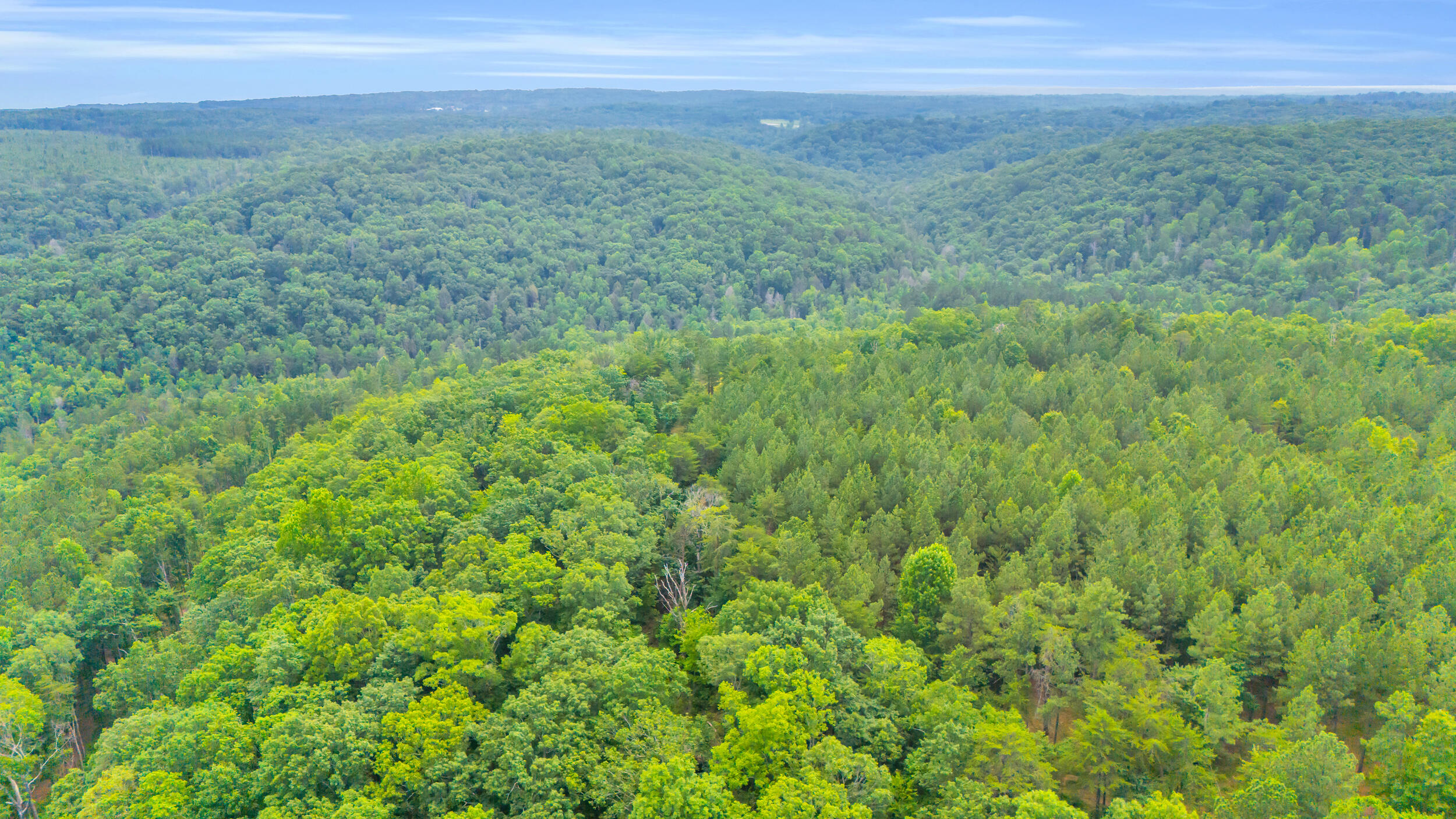 0 Worley Road, Lot 44