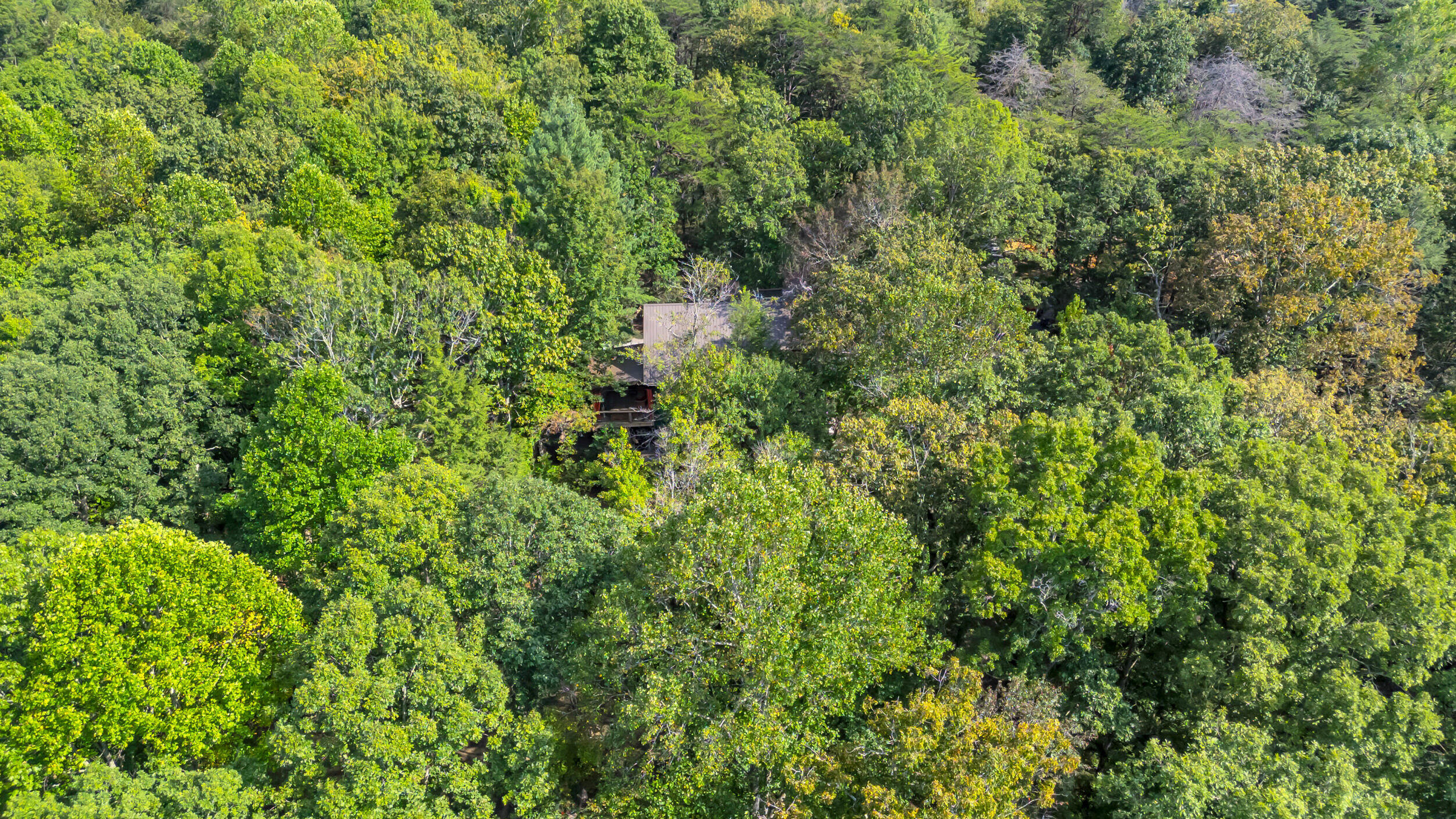 9963 Huckleberry Lane