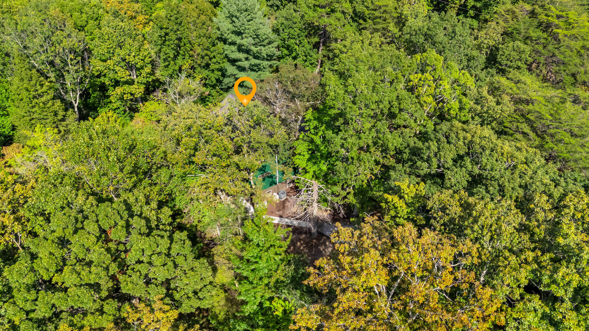 9963 Huckleberry Lane