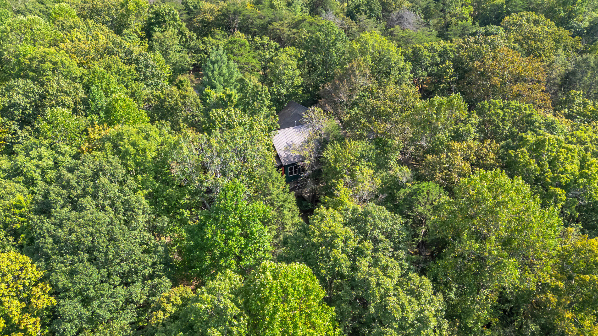 9963 Huckleberry Lane