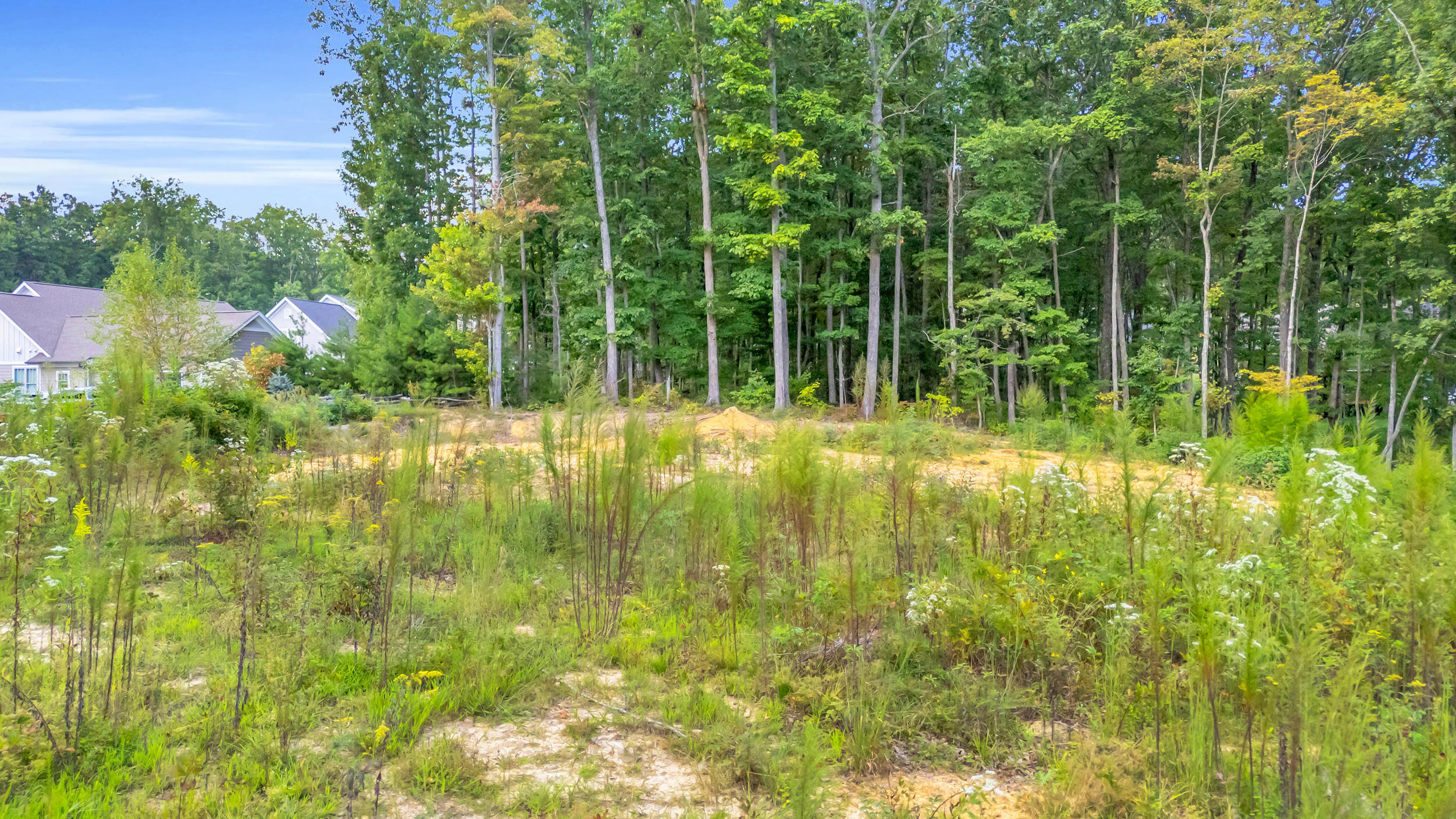 5025 Dandelion Trail