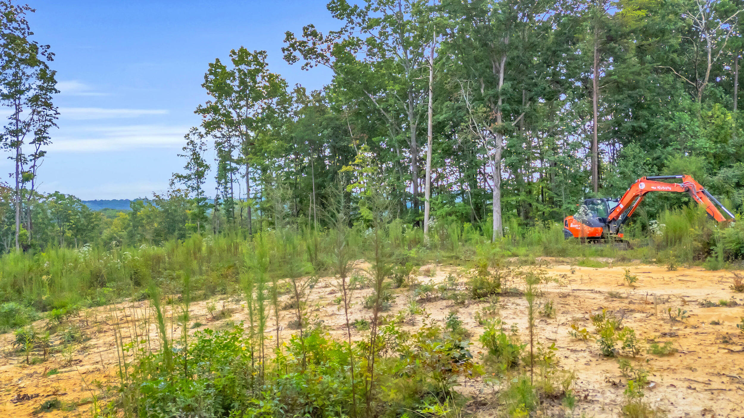 5025 Dandelion Trail