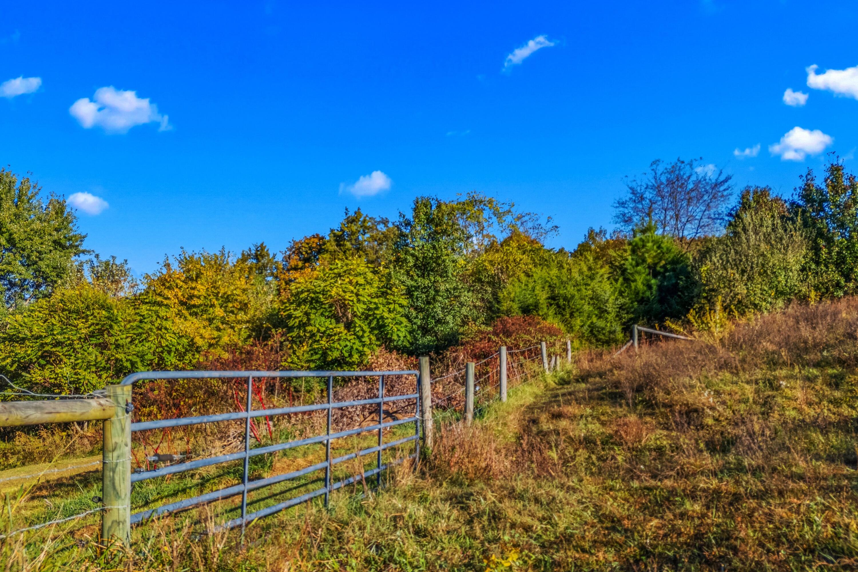 1575 Thompson Creek Road, Morristown