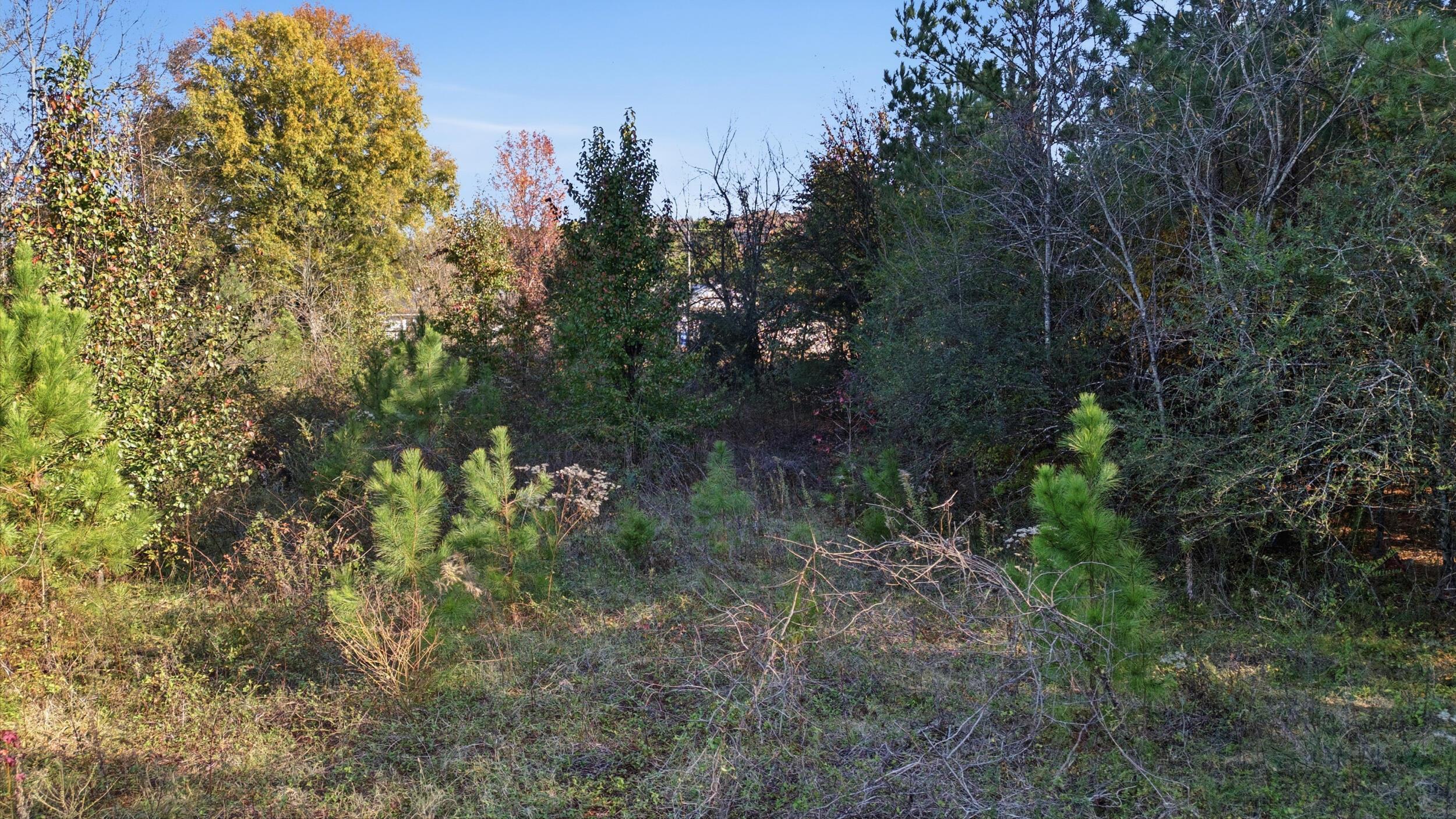 7610 Standifer Gap Road