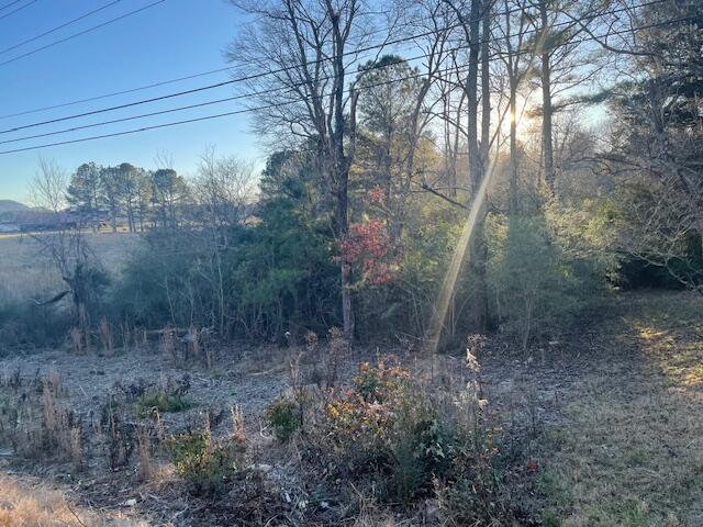 0 95 Highway, LaFayette