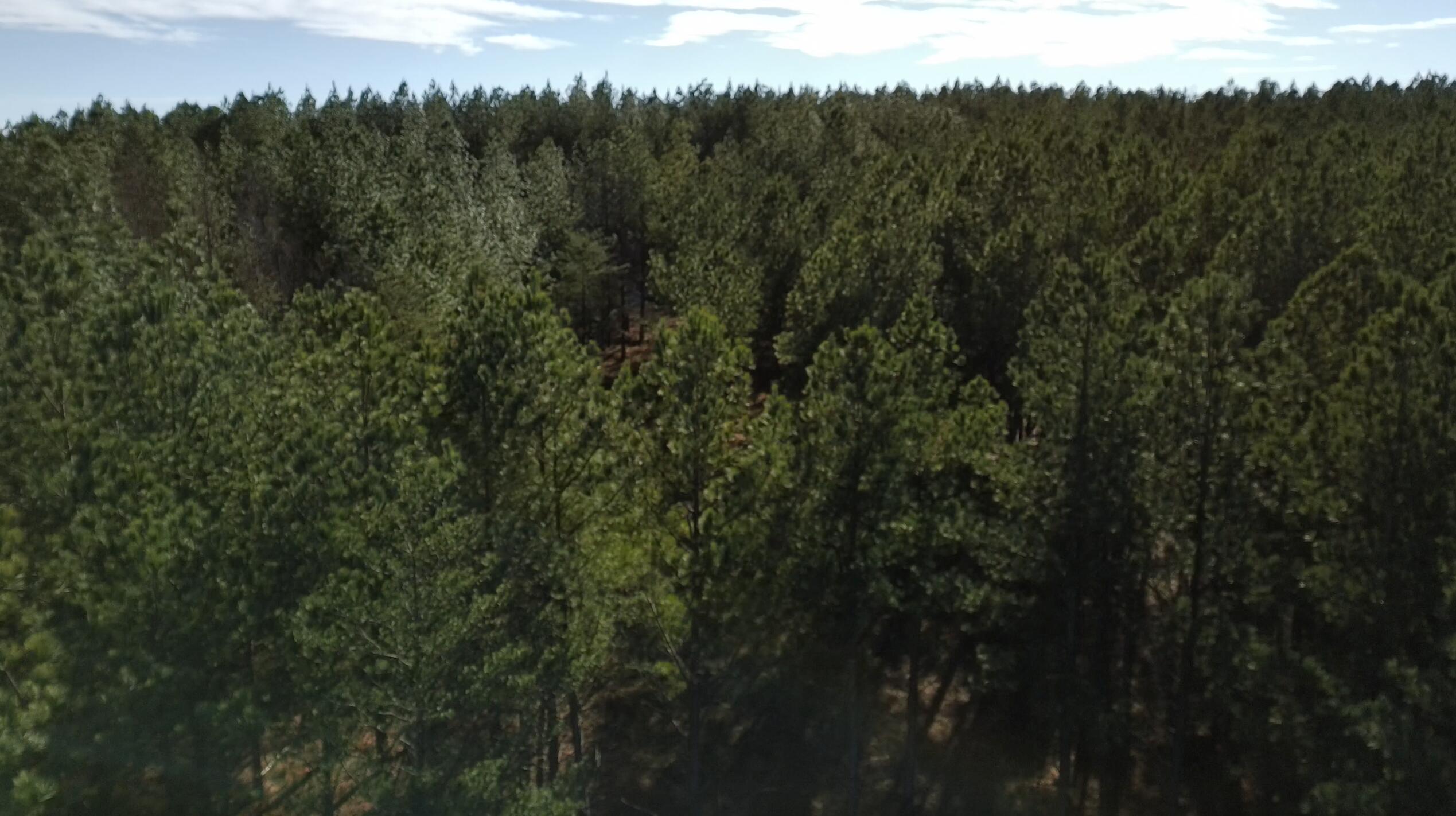 0 Three Gorges Road, Lot 3