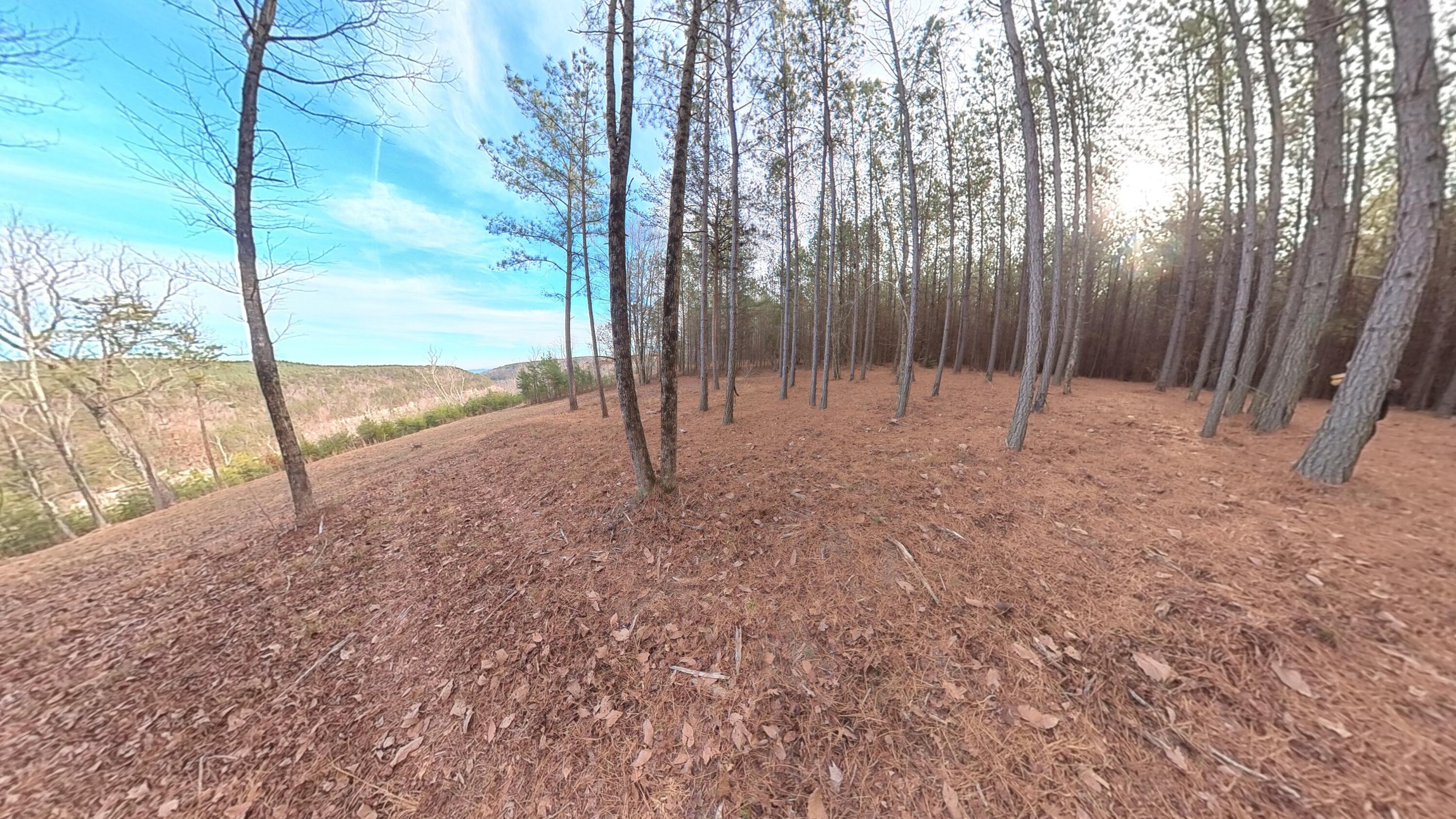 0 Big Soddy Drive, Lot 12