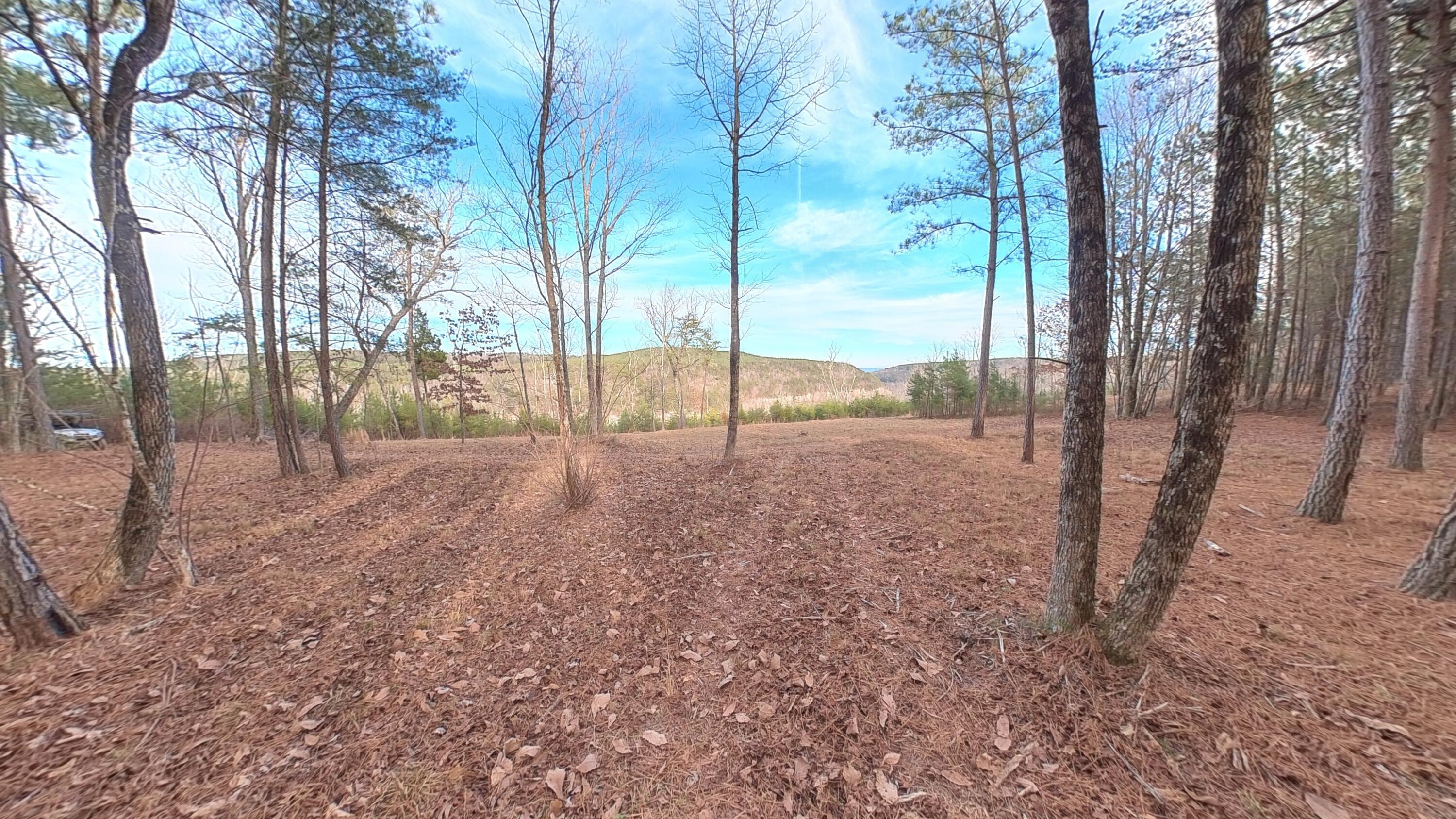 0 Big Soddy Drive, Lot 12