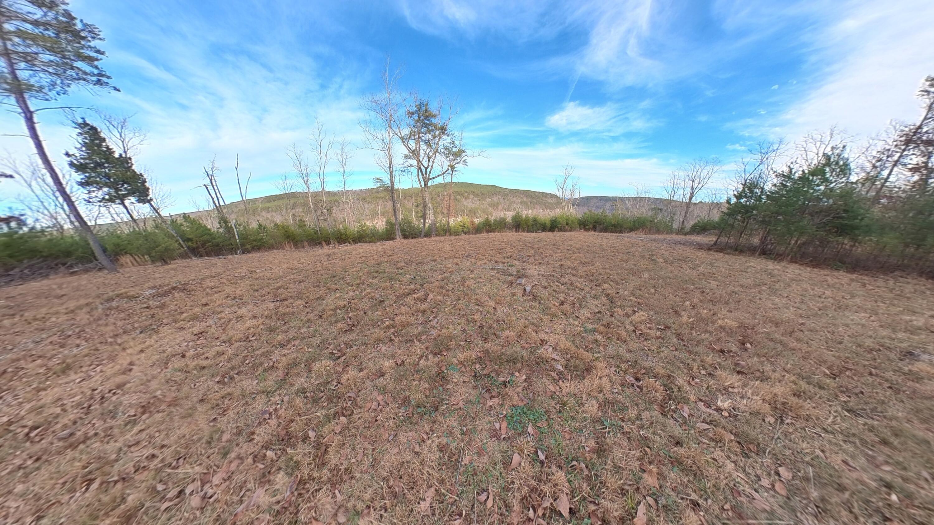 0 Big Soddy Drive, Lot 12
