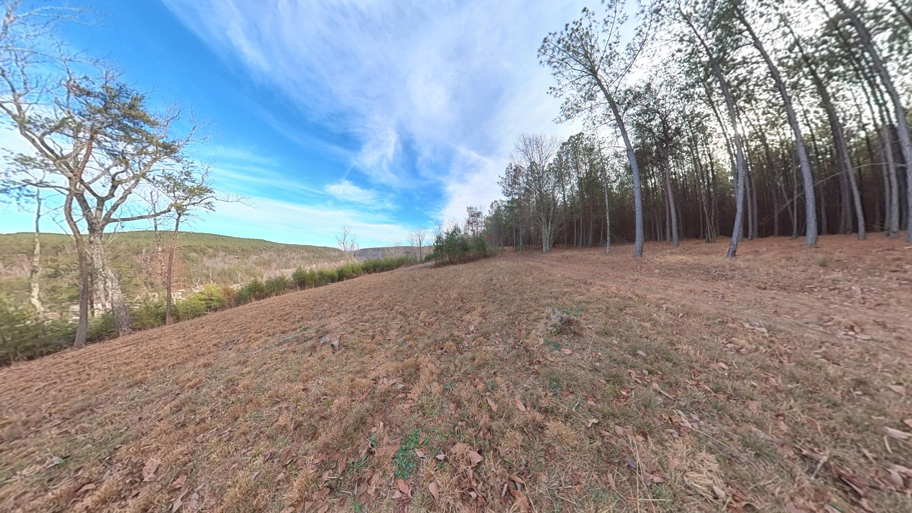 0 Big Soddy Drive, Lot 12