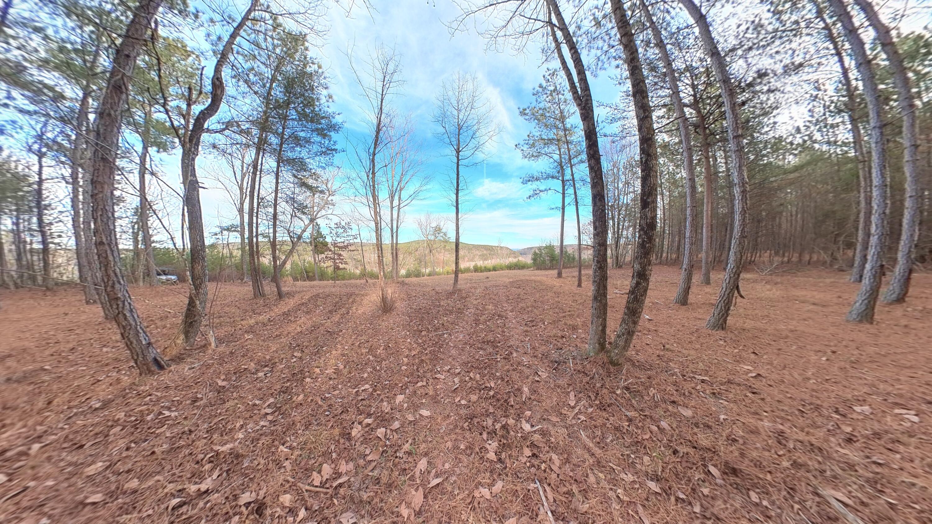 0 Big Soddy Drive, Lot 12