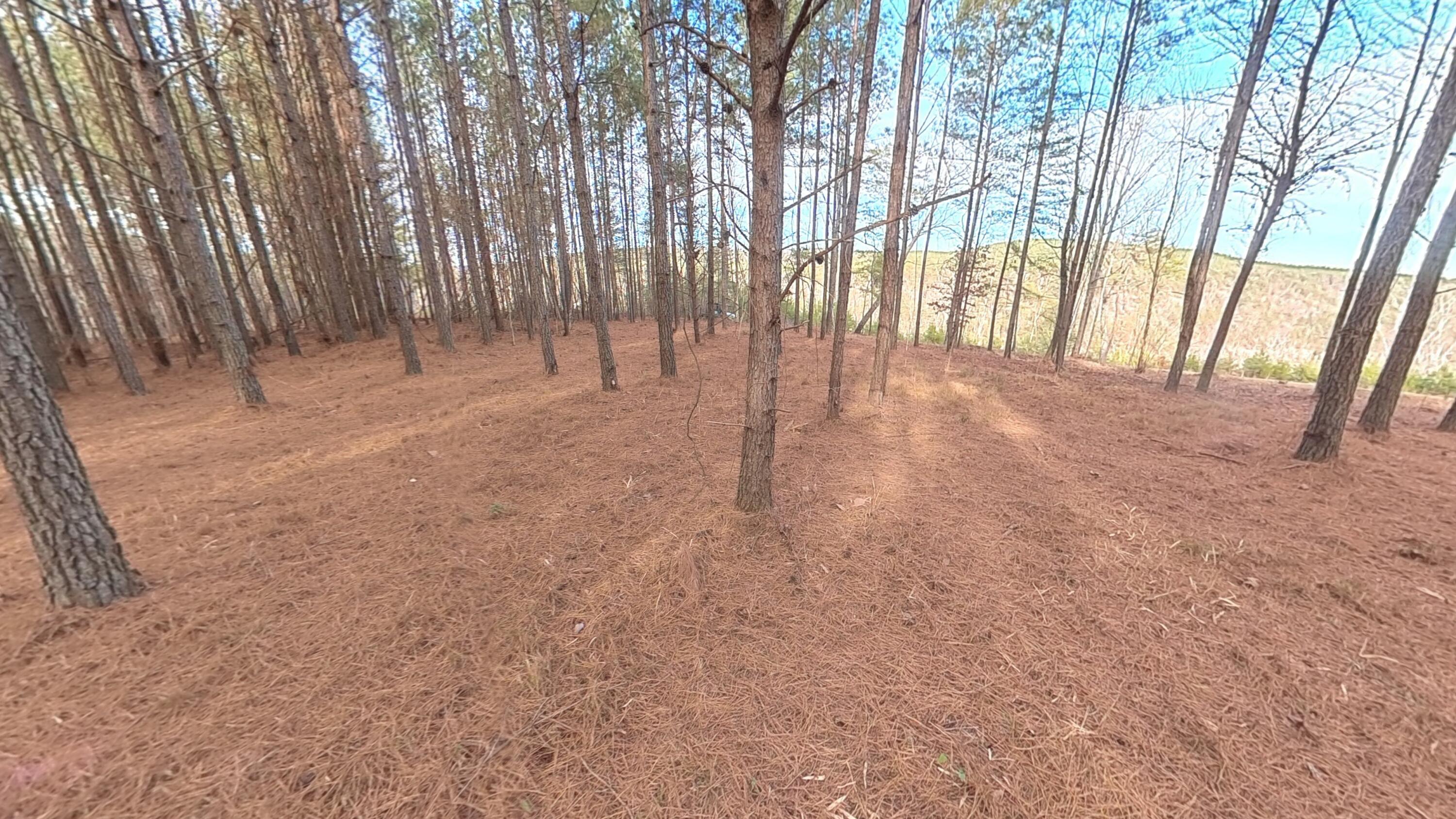 0 Big Soddy Drive, Lot 12
