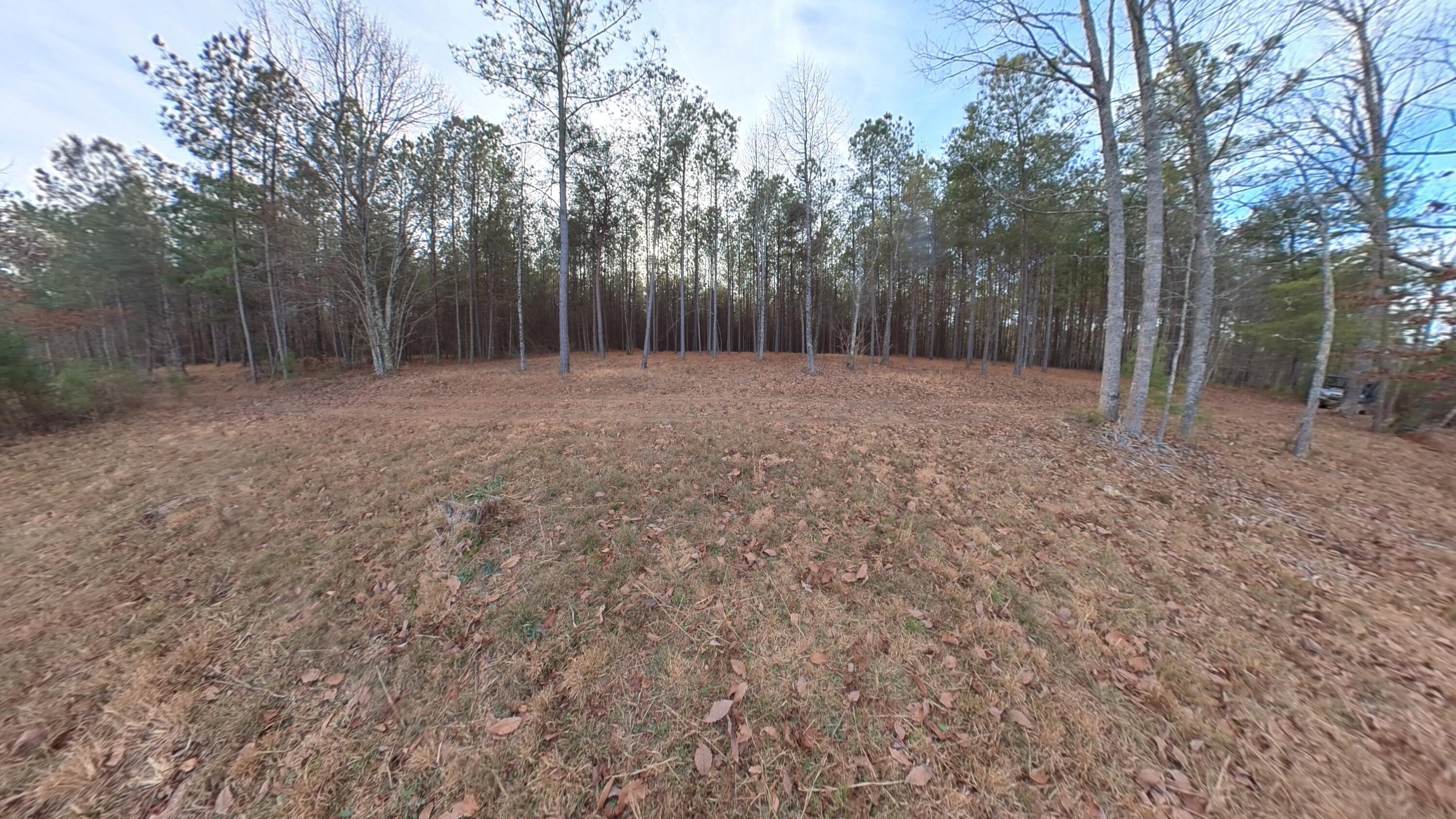 0 Big Soddy Drive, Lot 12