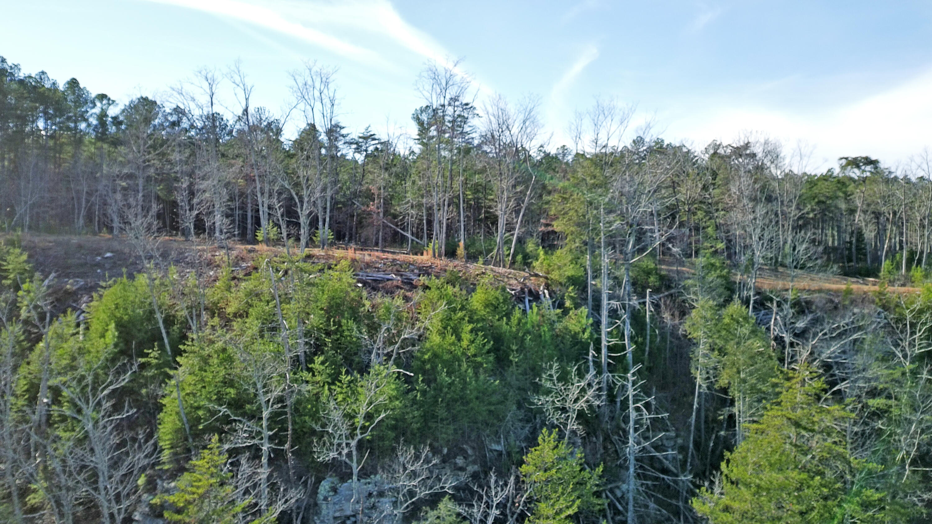 0 Big Soddy Drive, Lot 12