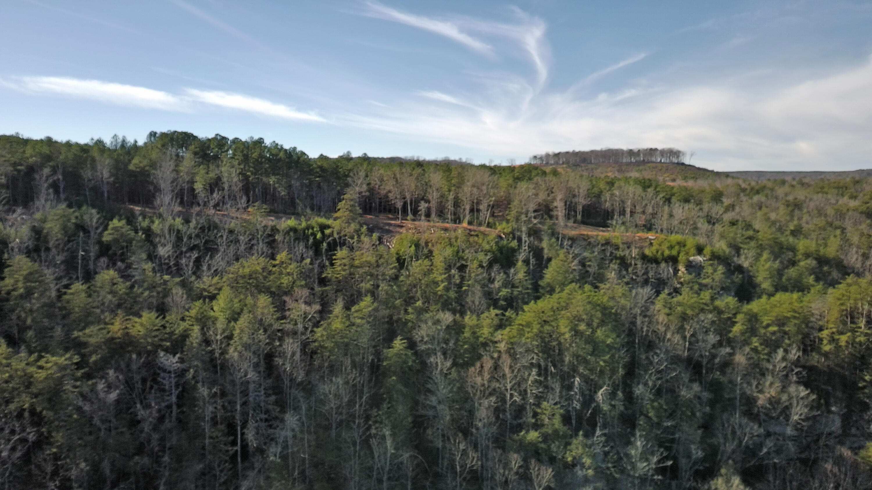 0 Big Soddy Drive, Lot 12