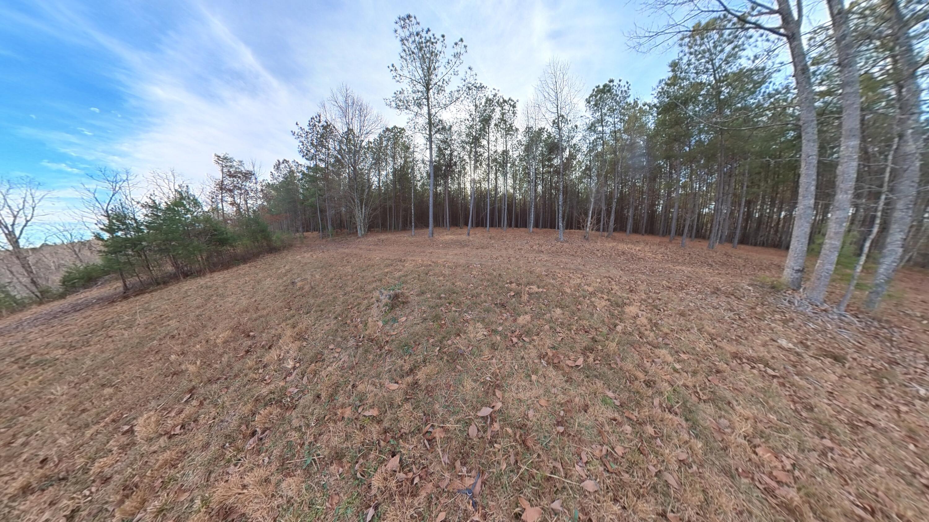 0 Big Soddy Drive, Lot 12