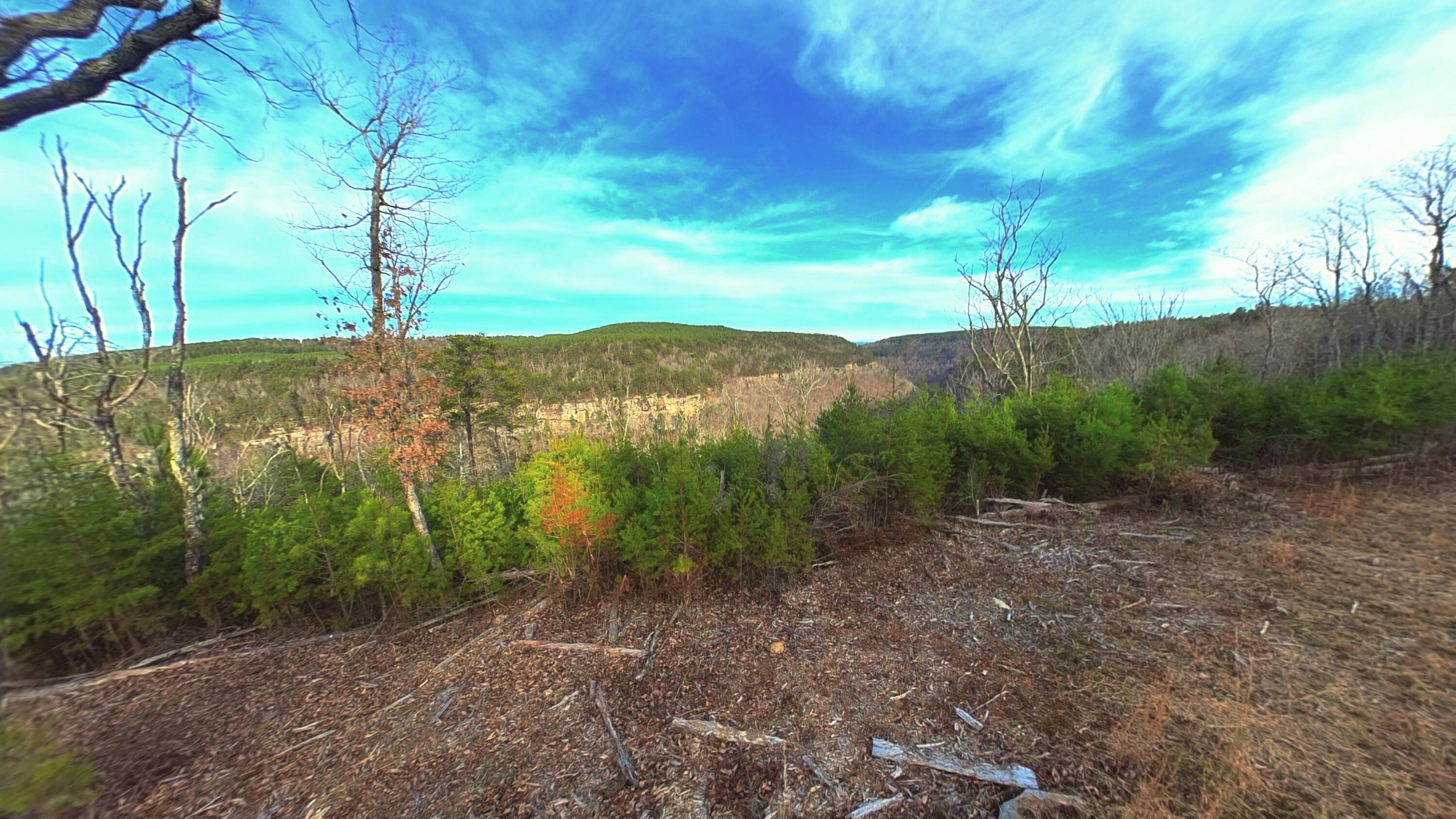 0 Big Soddy Drive, Lot 12