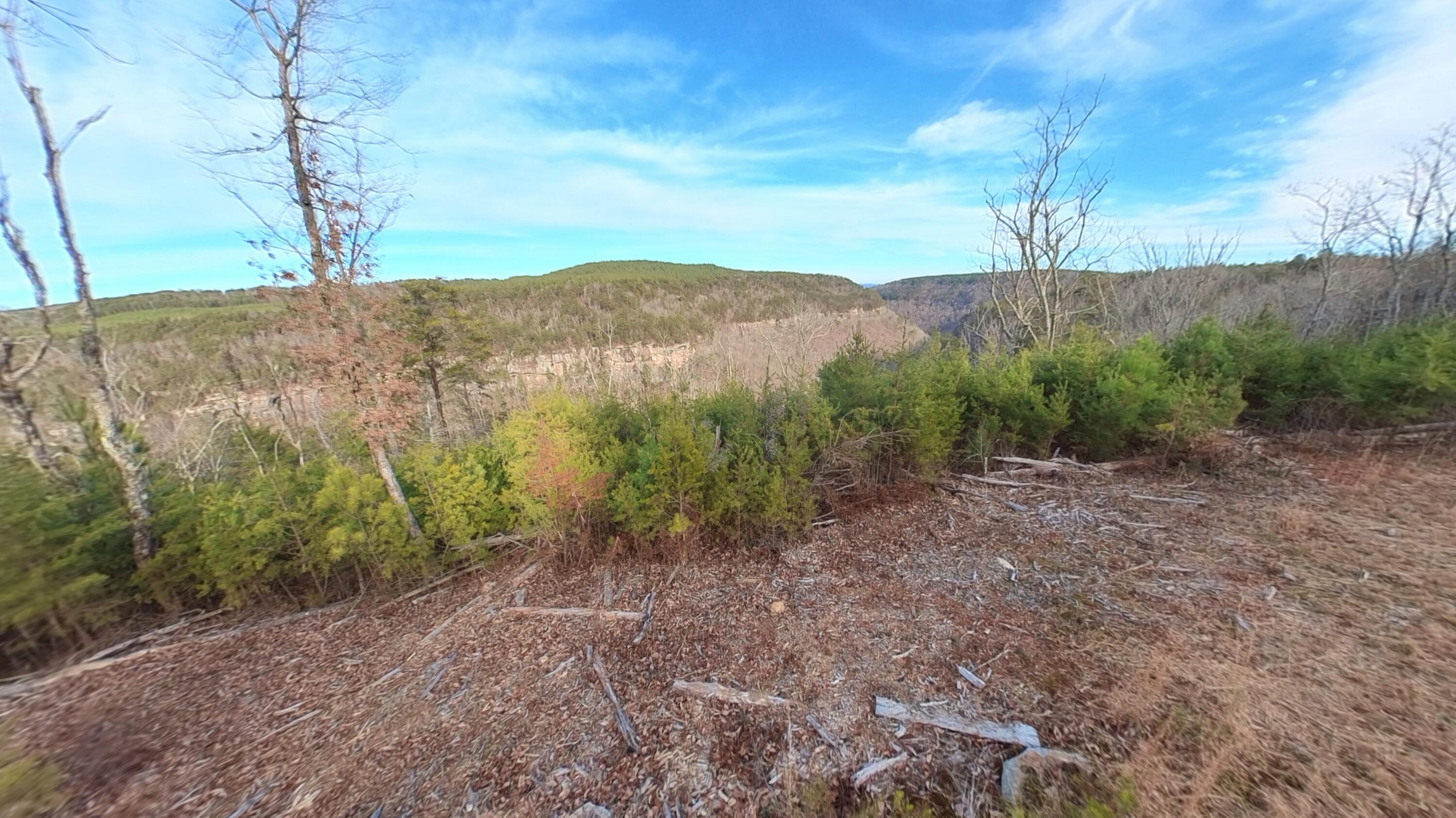 0 Big Soddy Drive, Lot 12