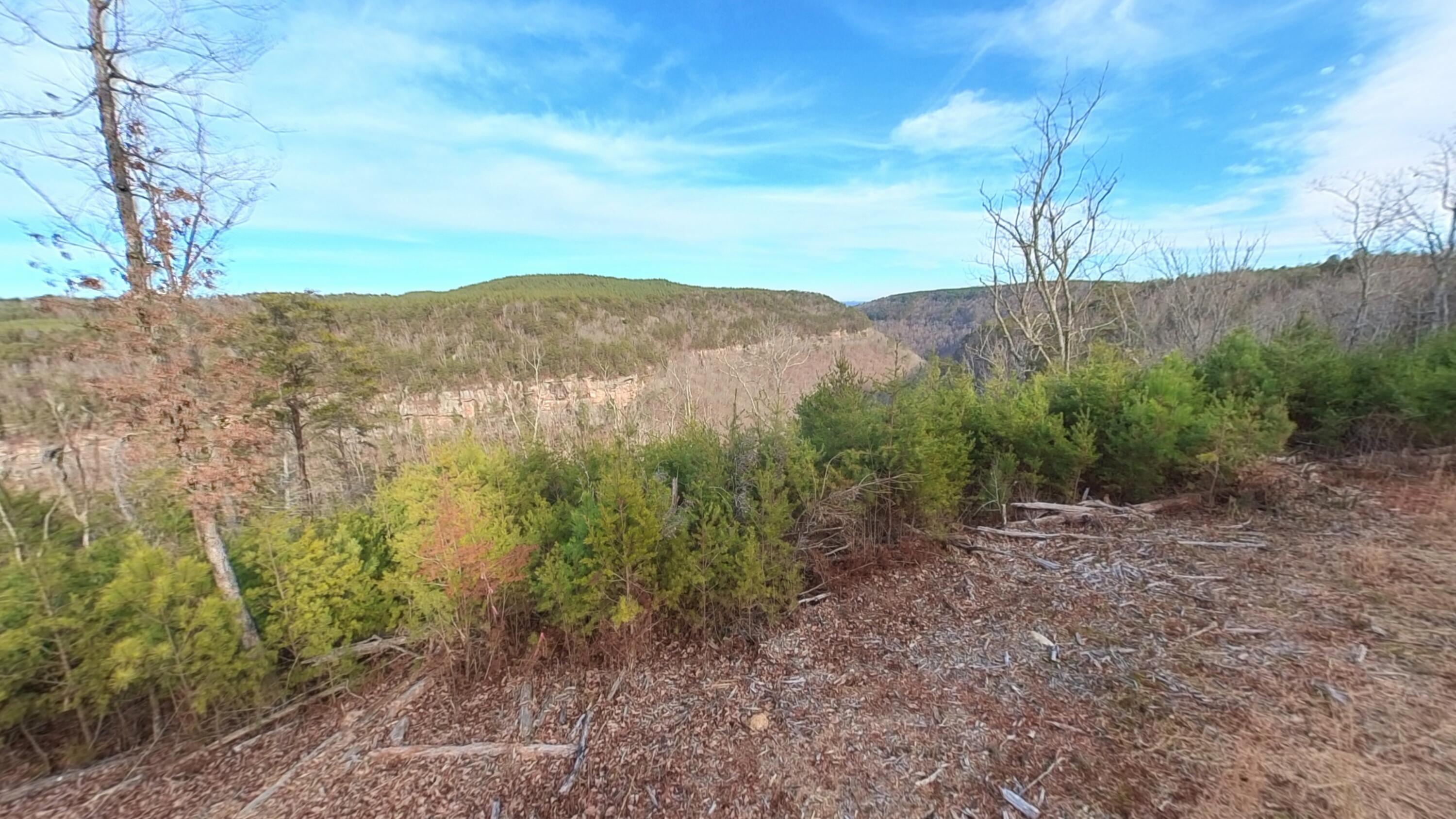 0 Big Soddy Drive, Lot 12