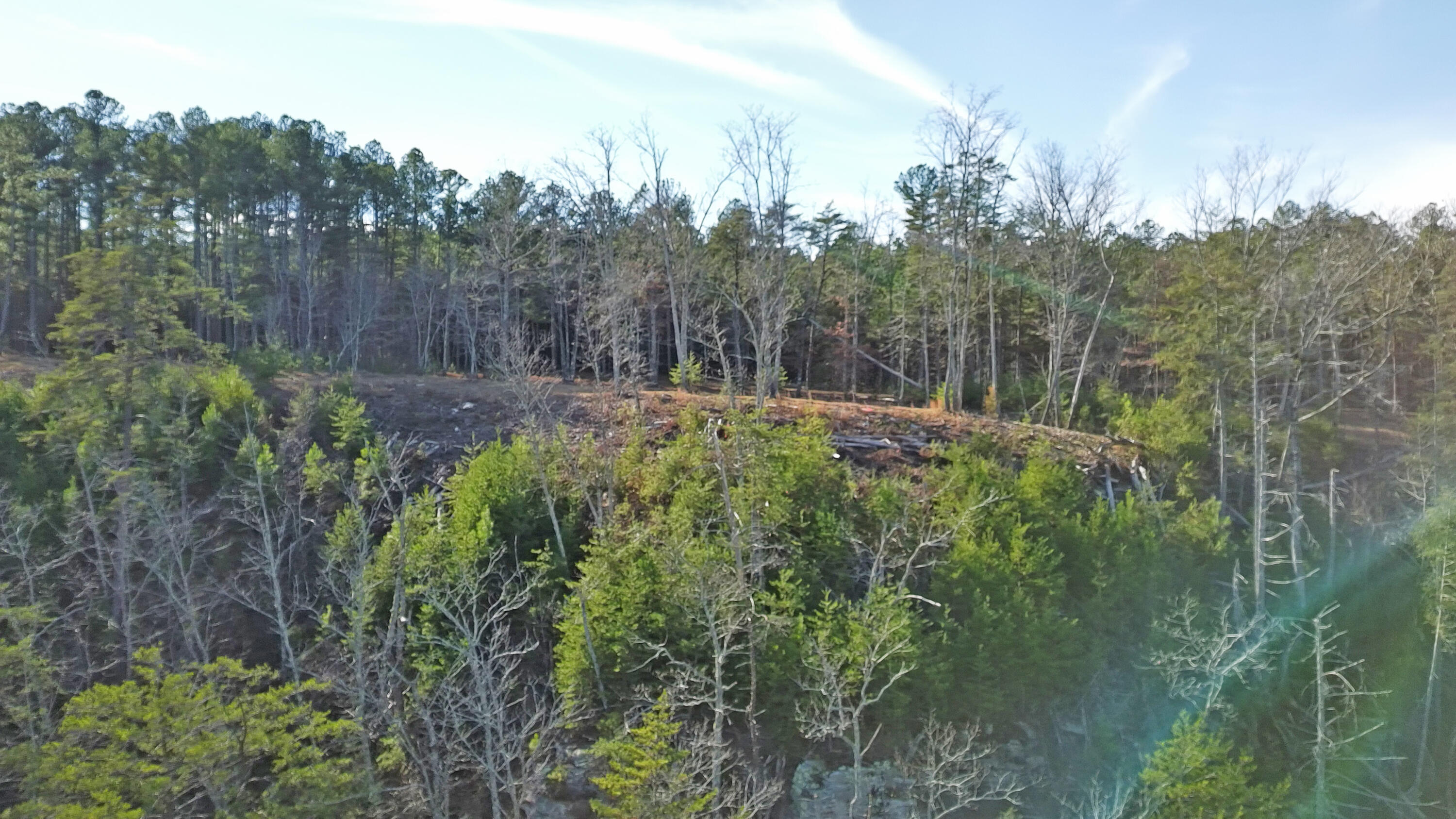 0 Big Soddy Drive, Lot 12