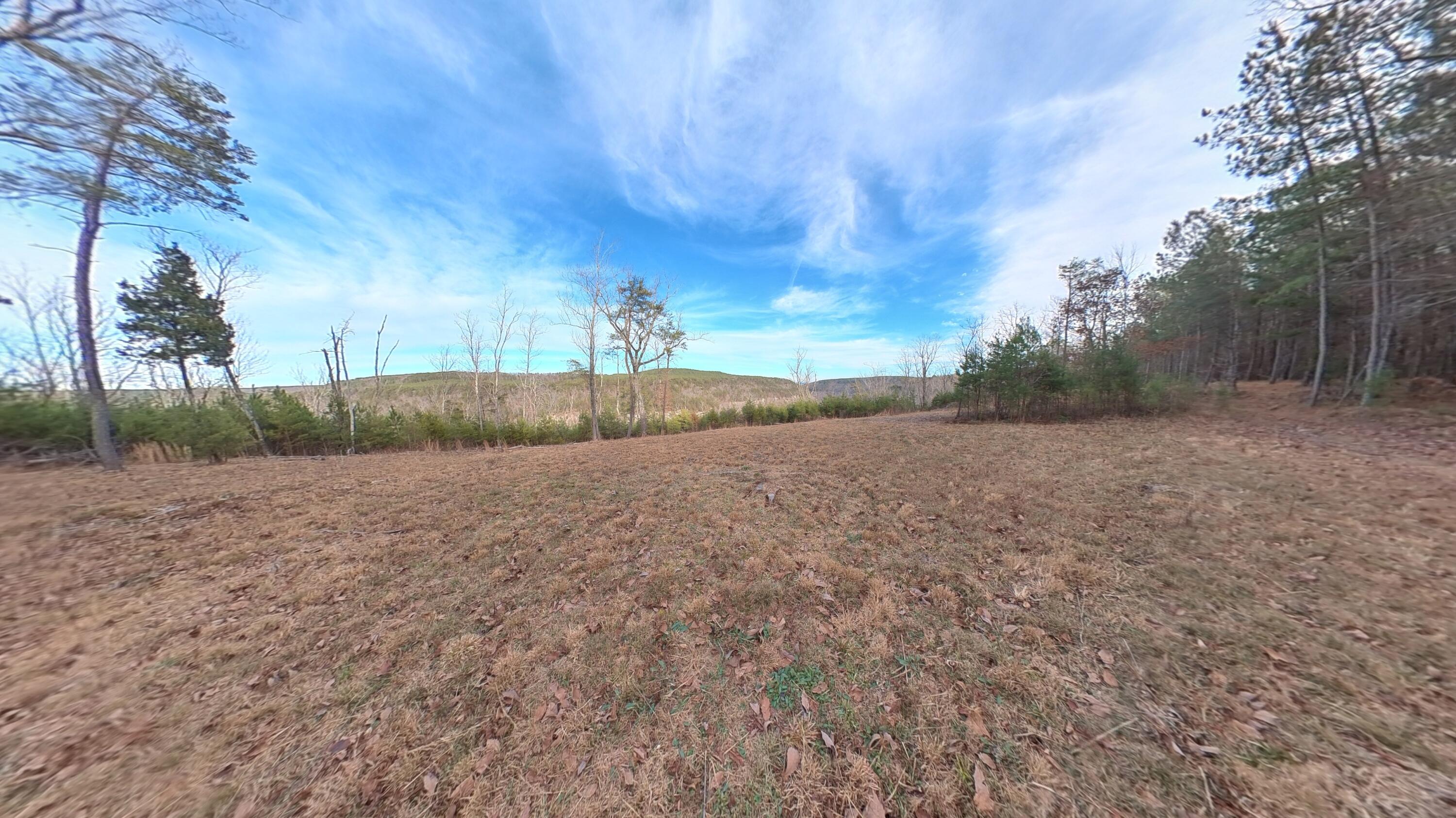 0 Big Soddy Drive, Lot 12