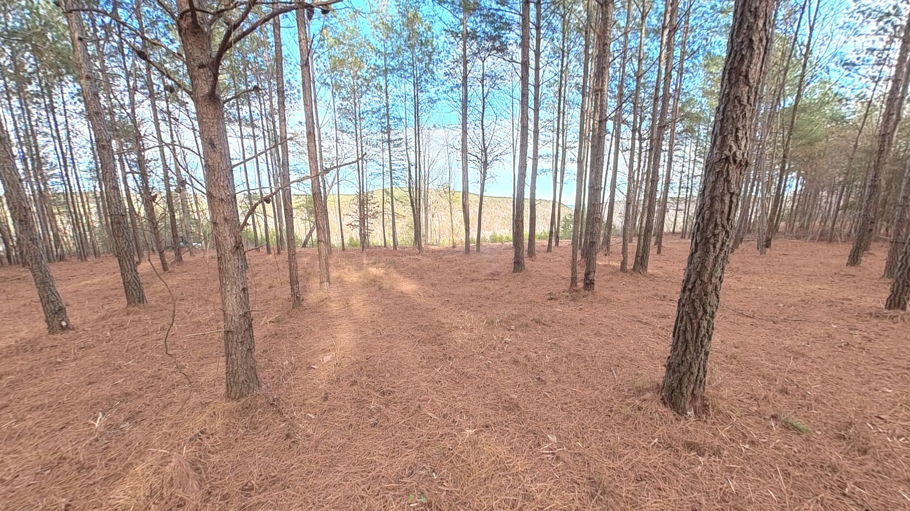 0 Big Soddy Drive, Lot 12