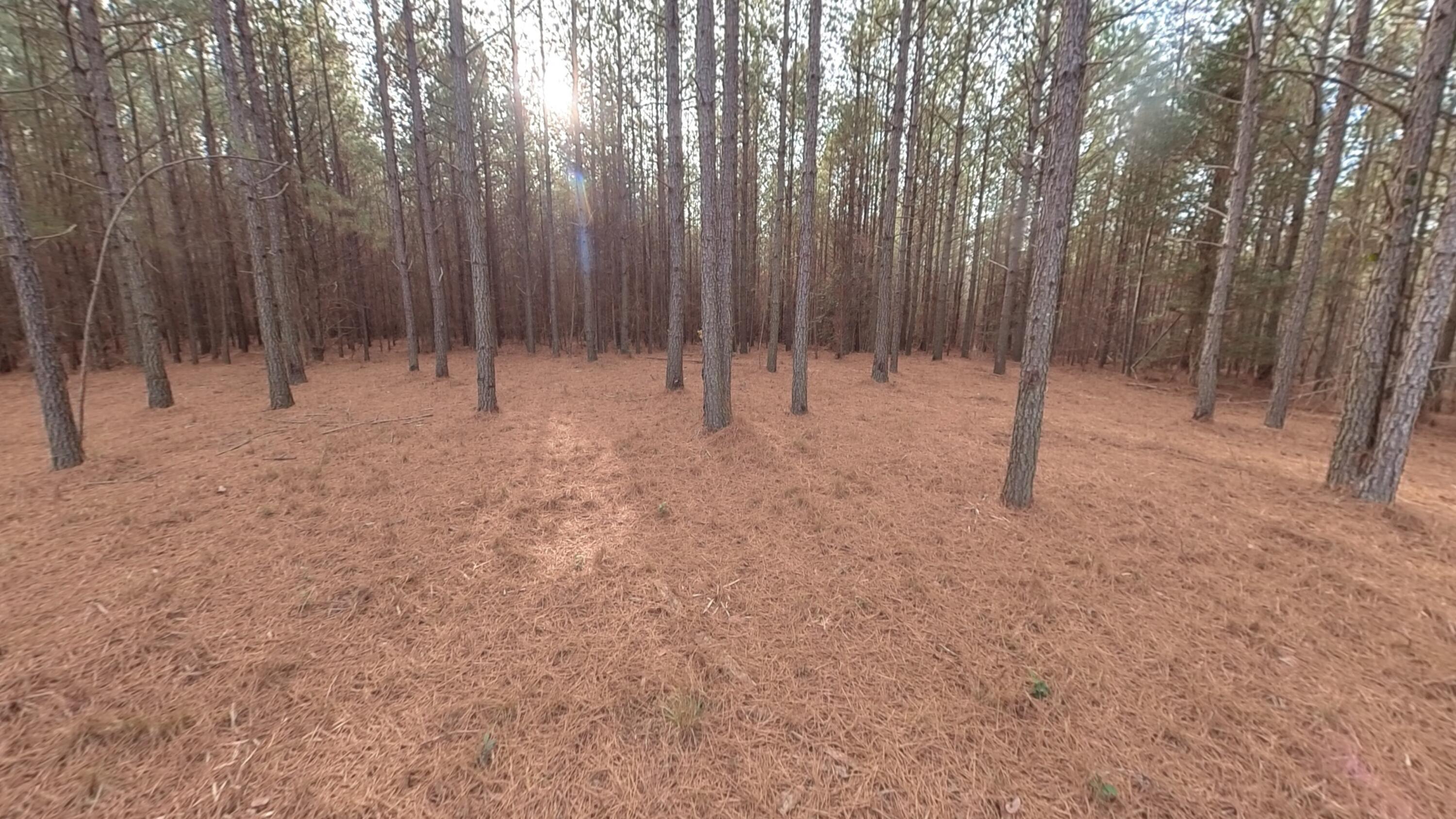 0 Big Soddy Drive, Lot 12