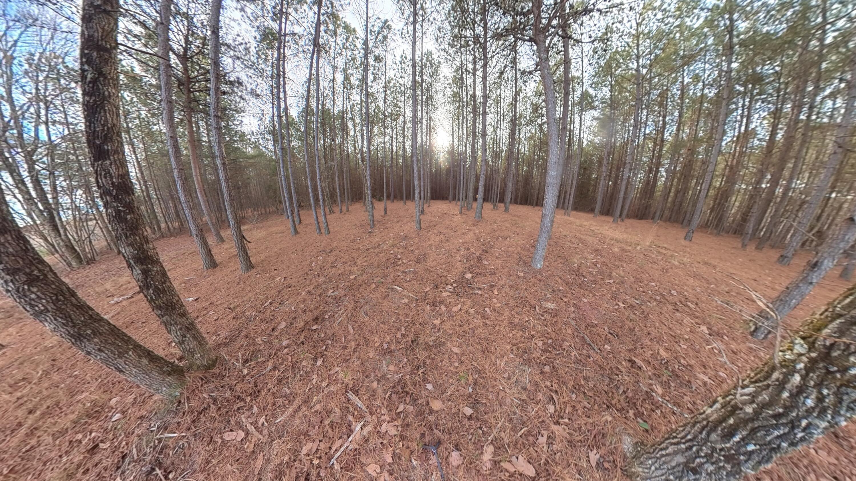 0 Big Soddy Drive, Lot 12