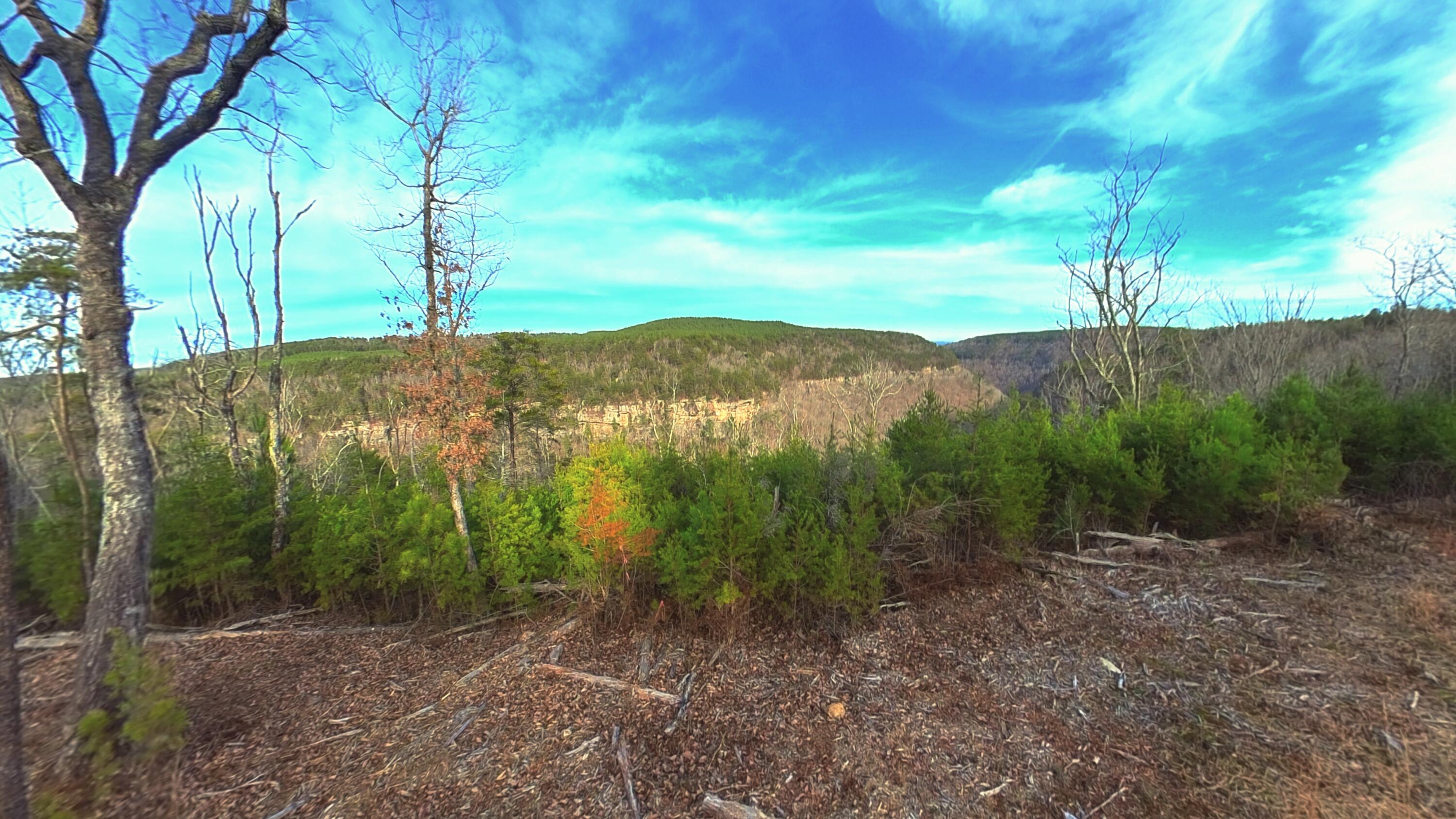 0 Big Soddy Drive, Lot 12