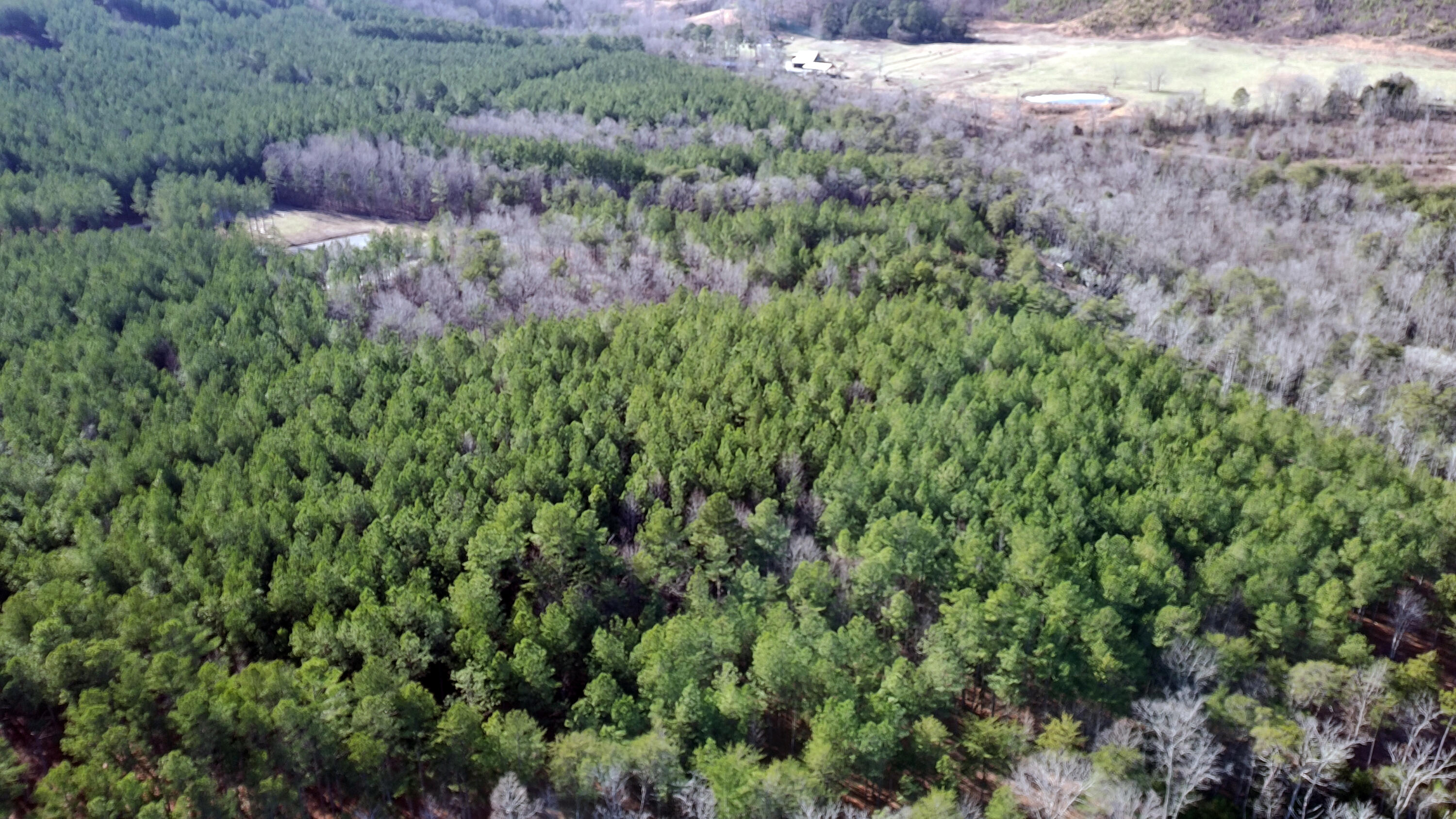 0 Big Soddy Drive, Lot 12