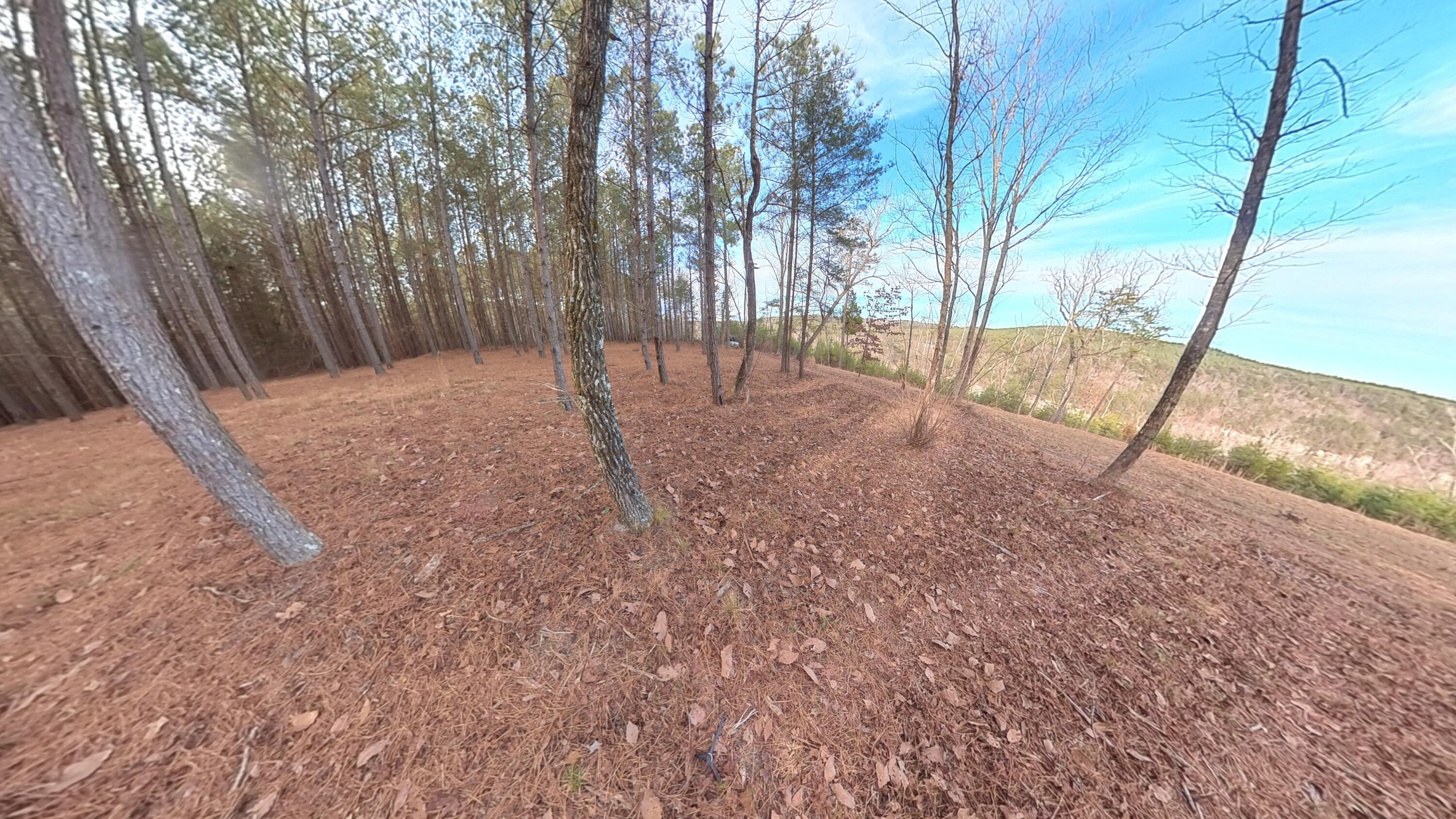 0 Big Soddy Drive, Lot 12