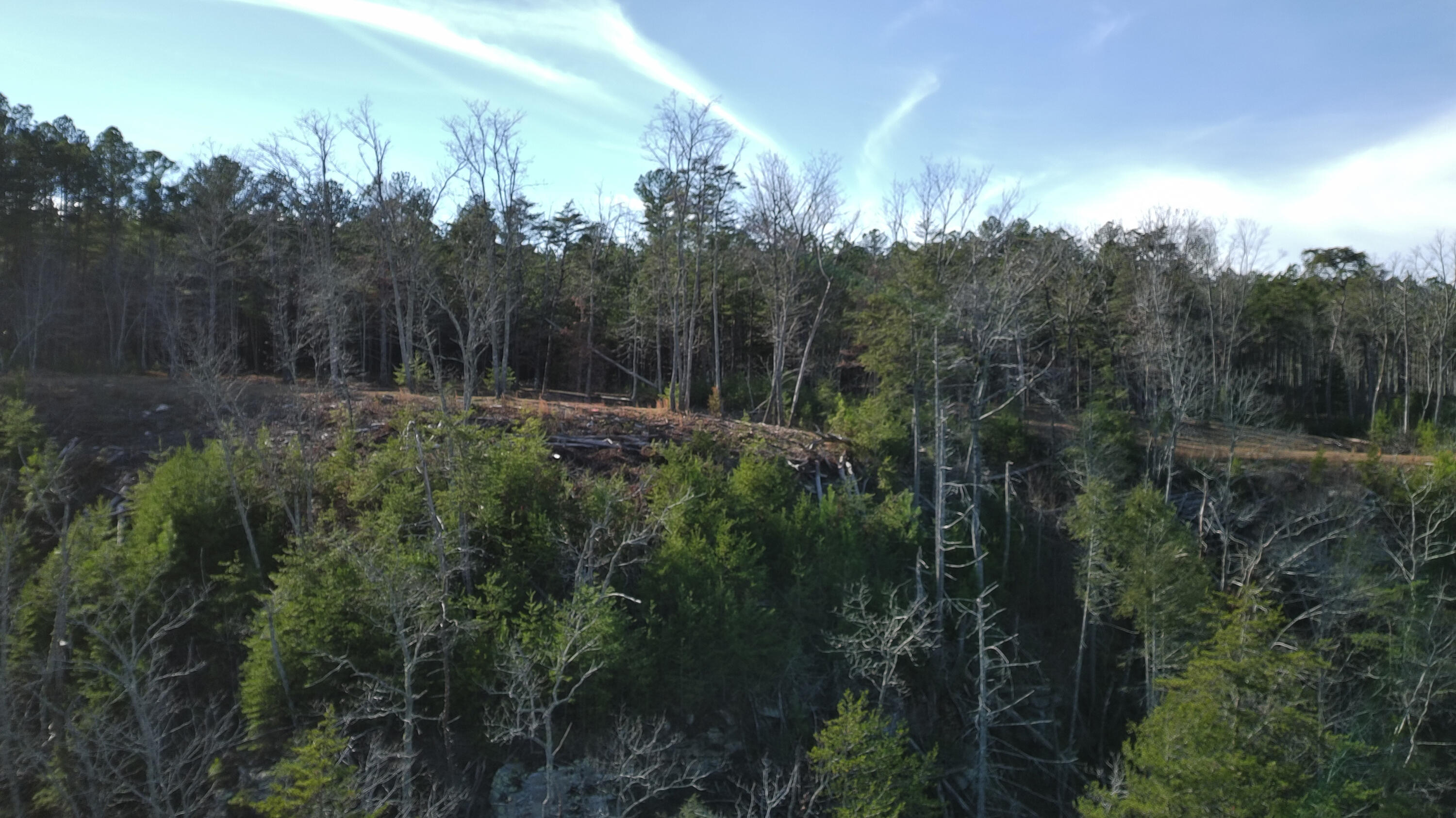 0 Big Soddy Drive, Lot 12