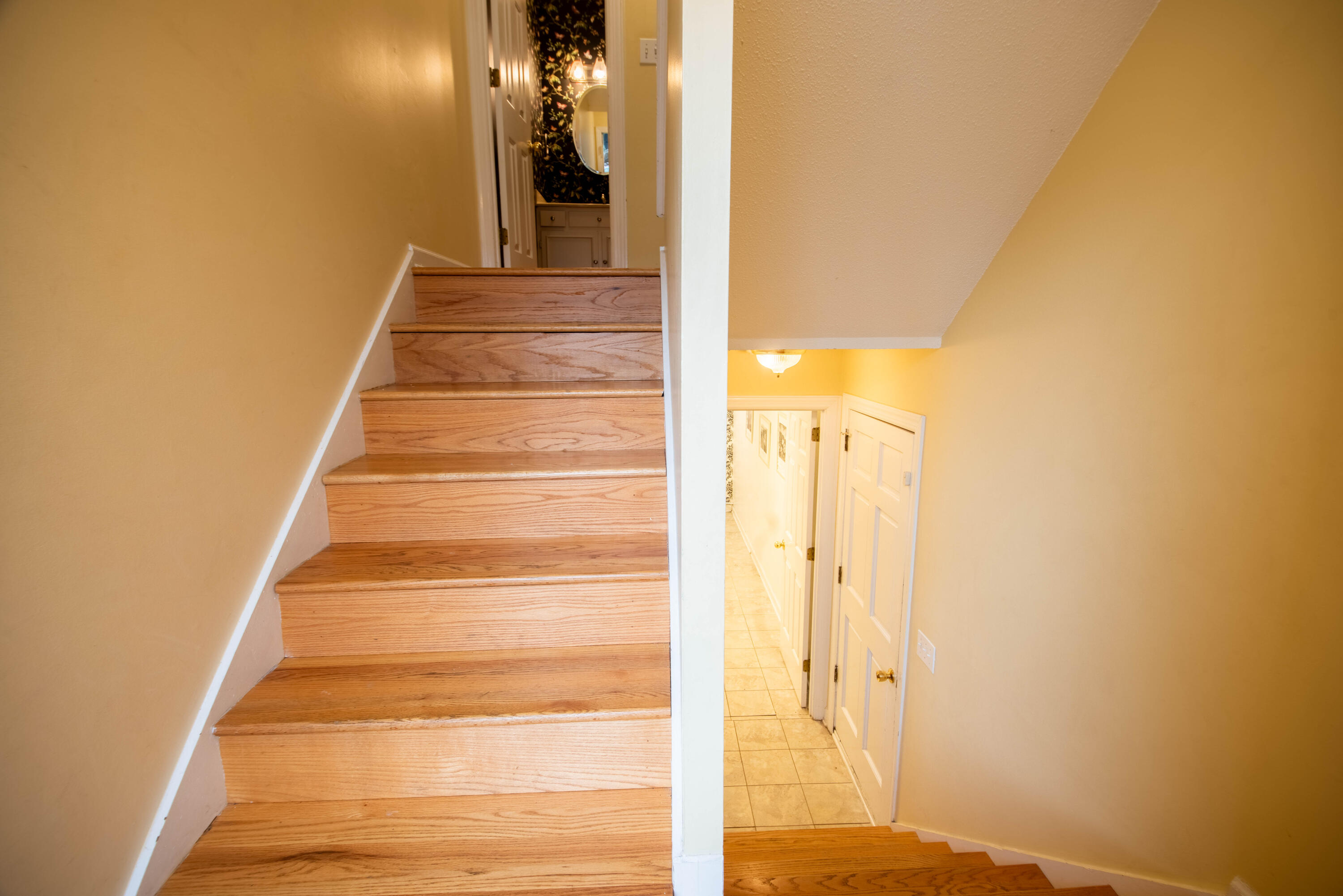 527 Winterview Lane
